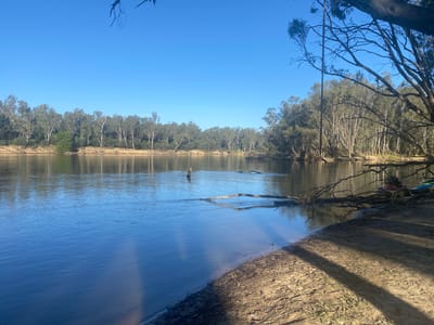 Zona Dicks Bend Camp