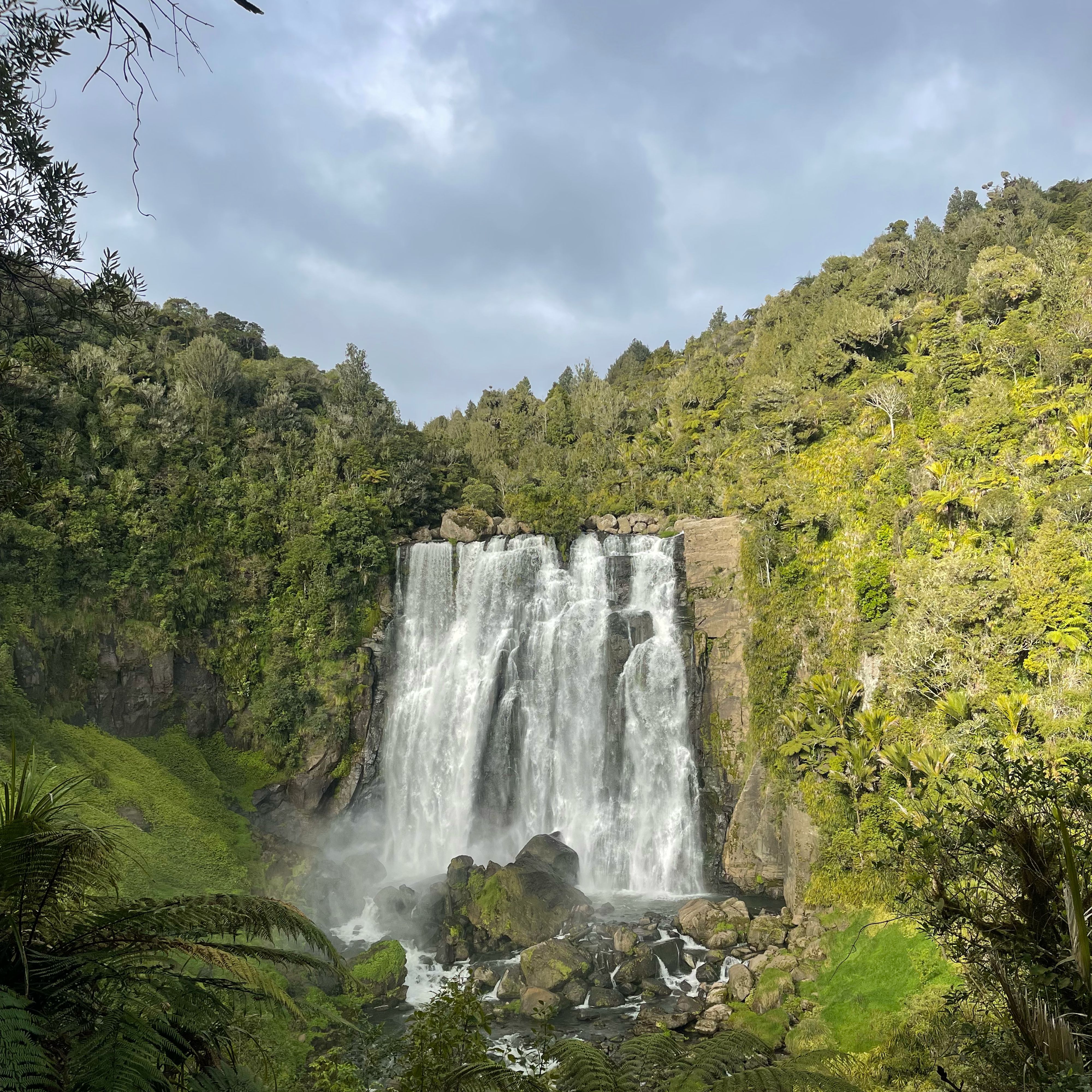 Marokopa Falls Walk - Image 2