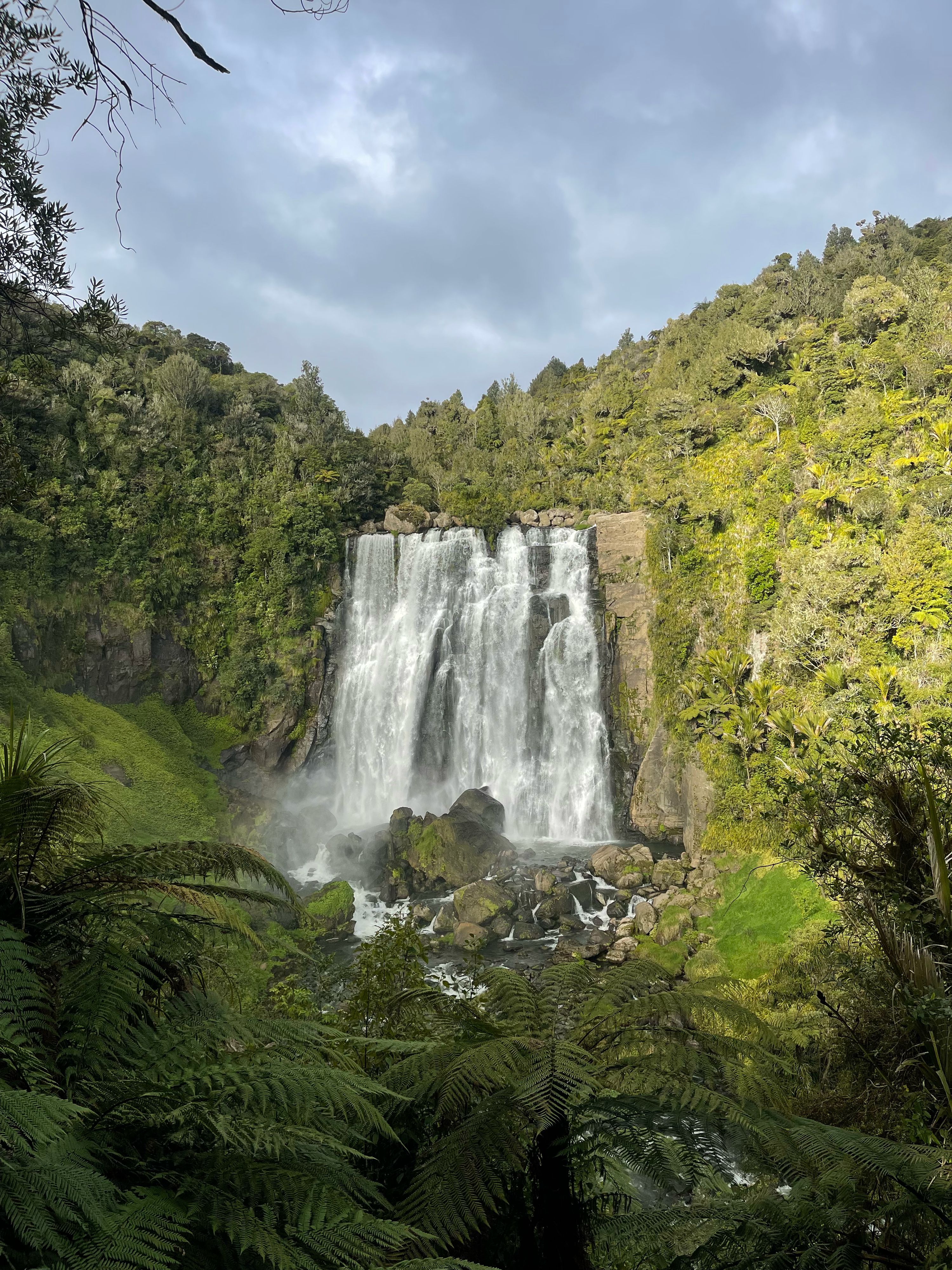 Marokopa Falls Walk - Image 2