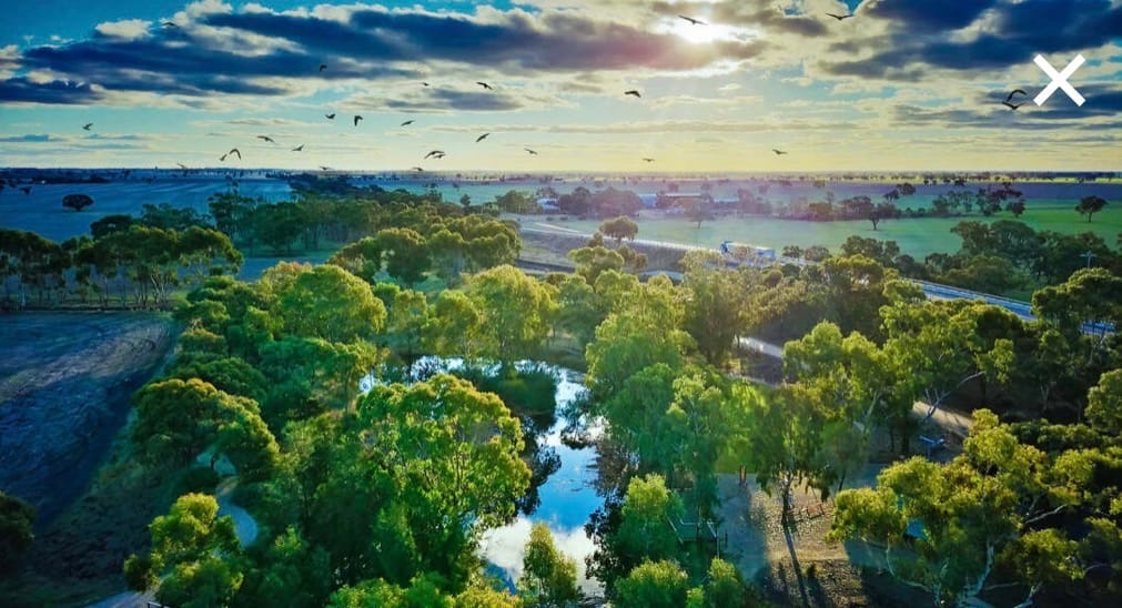 Kaniva Wetlands & Fauna Park