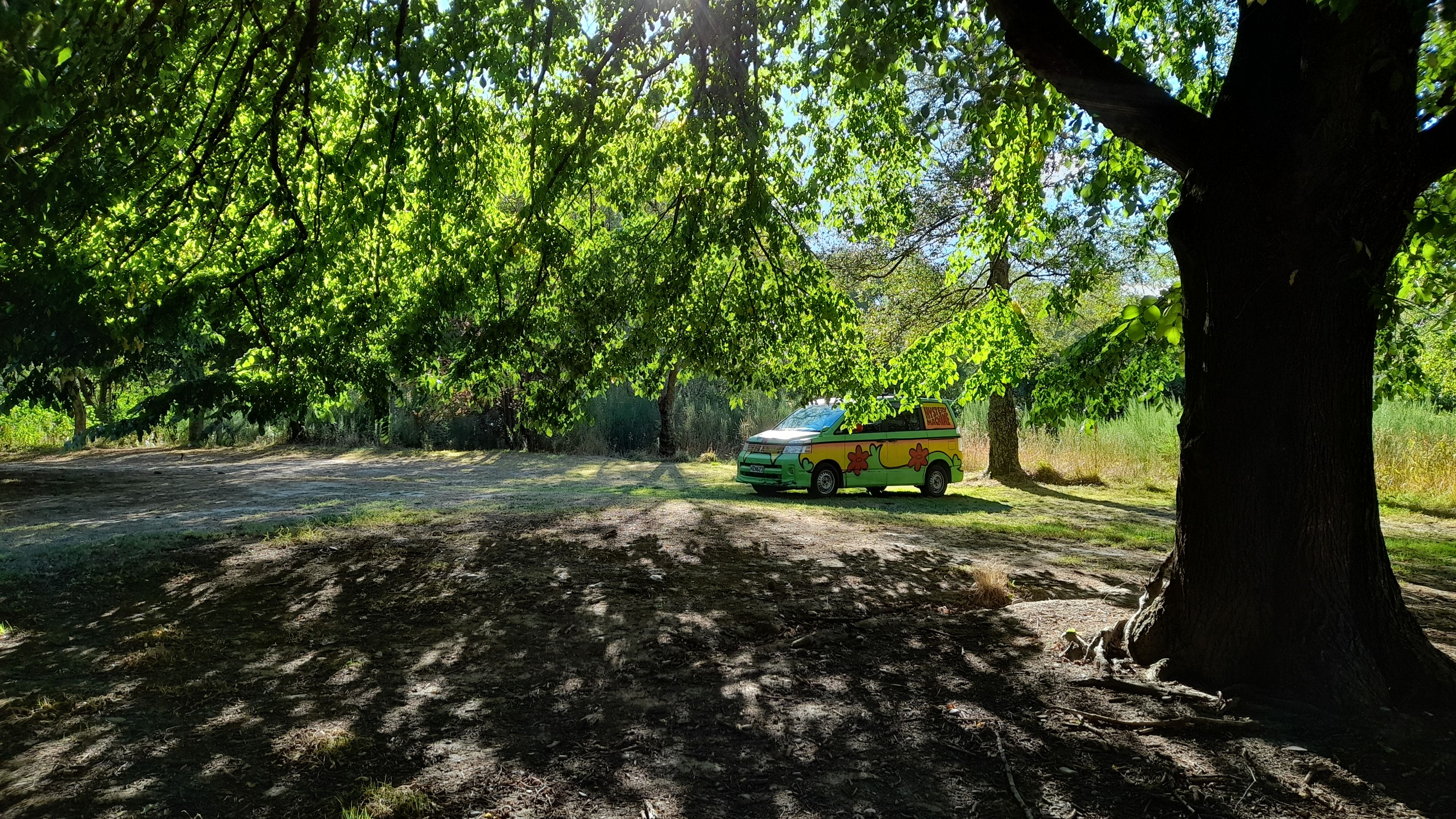 Whitecliffs Domain - CLOSED - Image 3