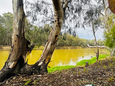 Loddon Floodway