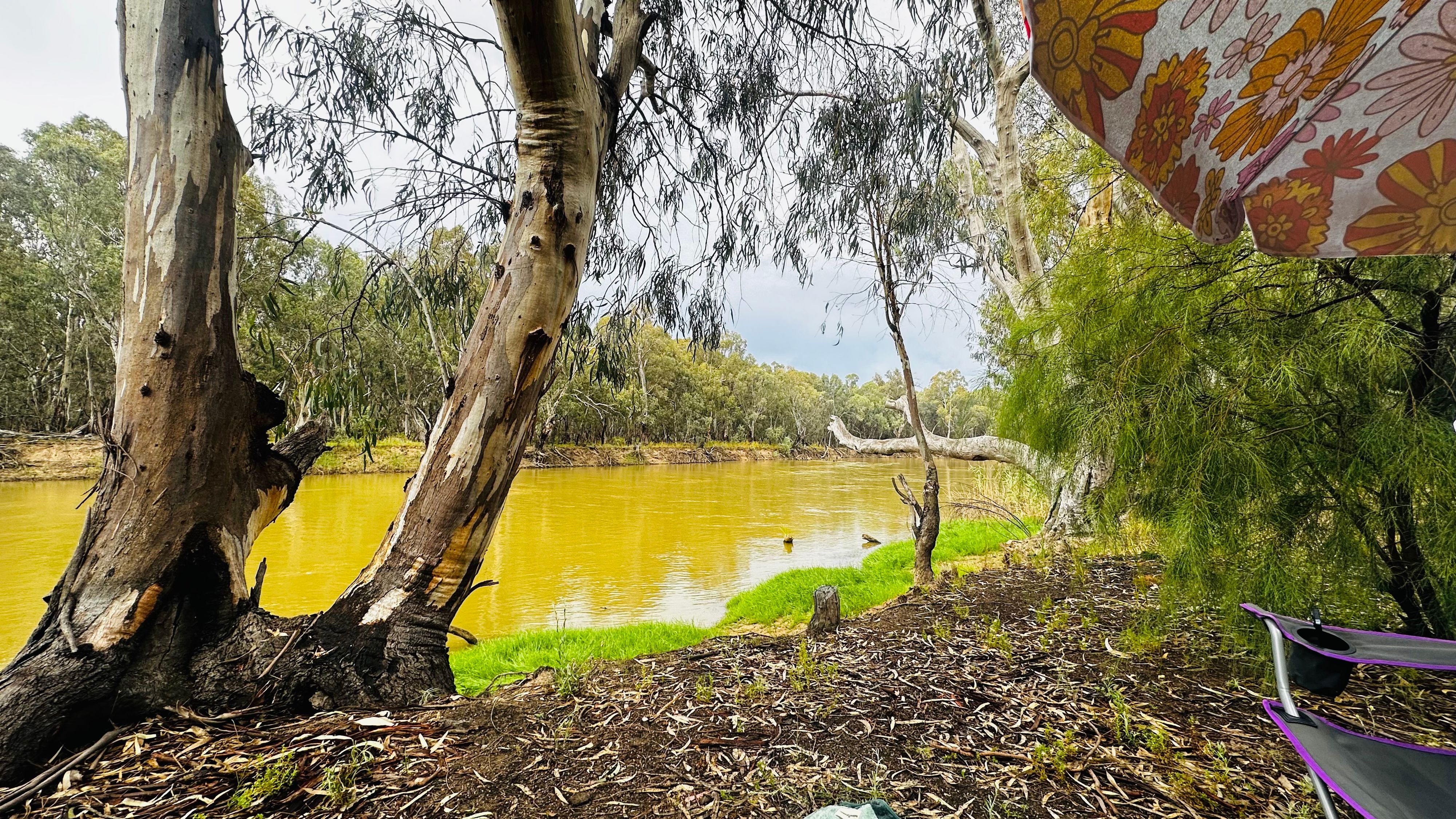 Les anmeldelser av Loddon Floodway
