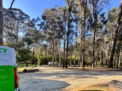 Scrubby Creek Forest Picnic Area  
