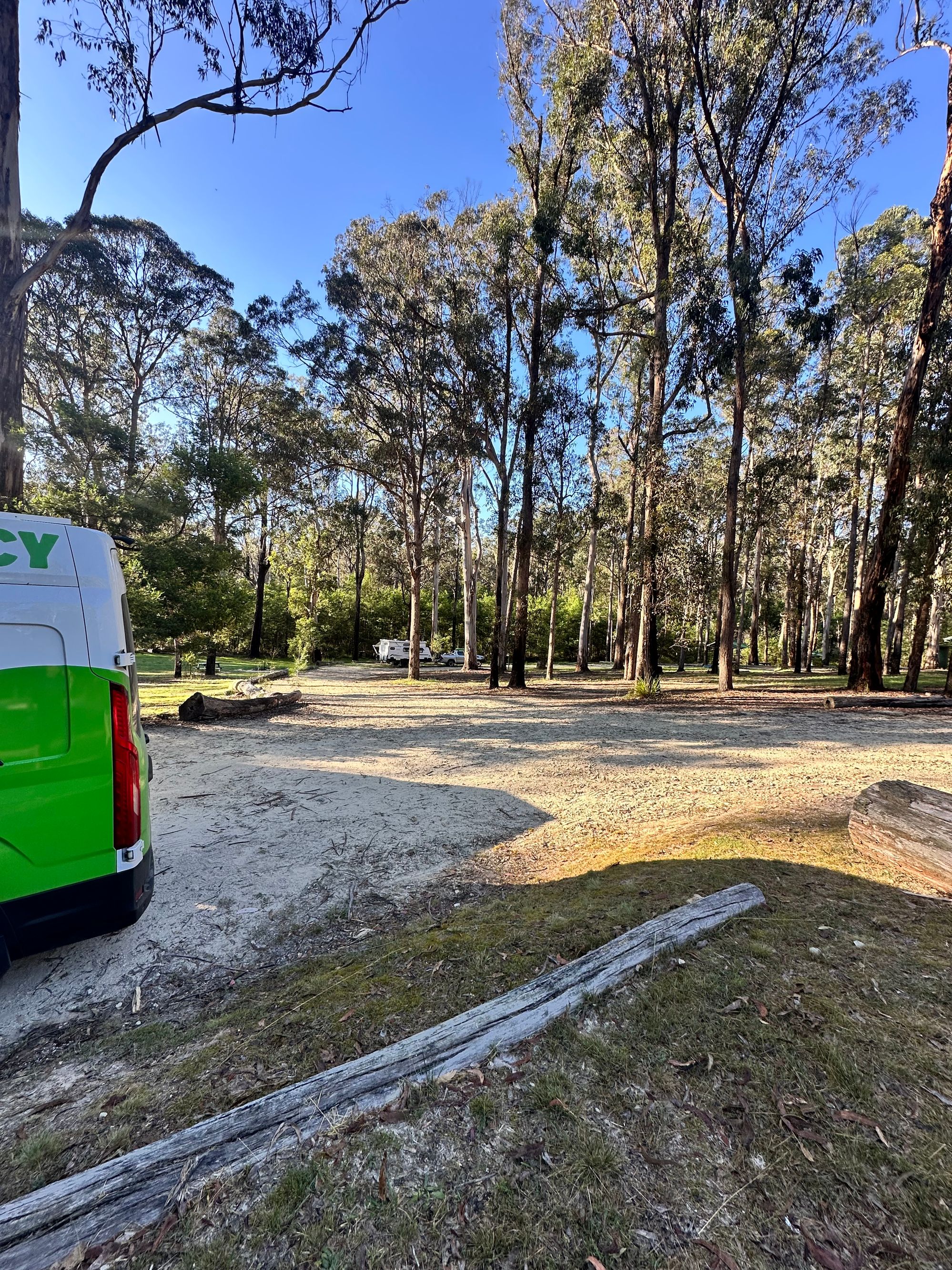 Scrubby Creek Forest Picnic Area  