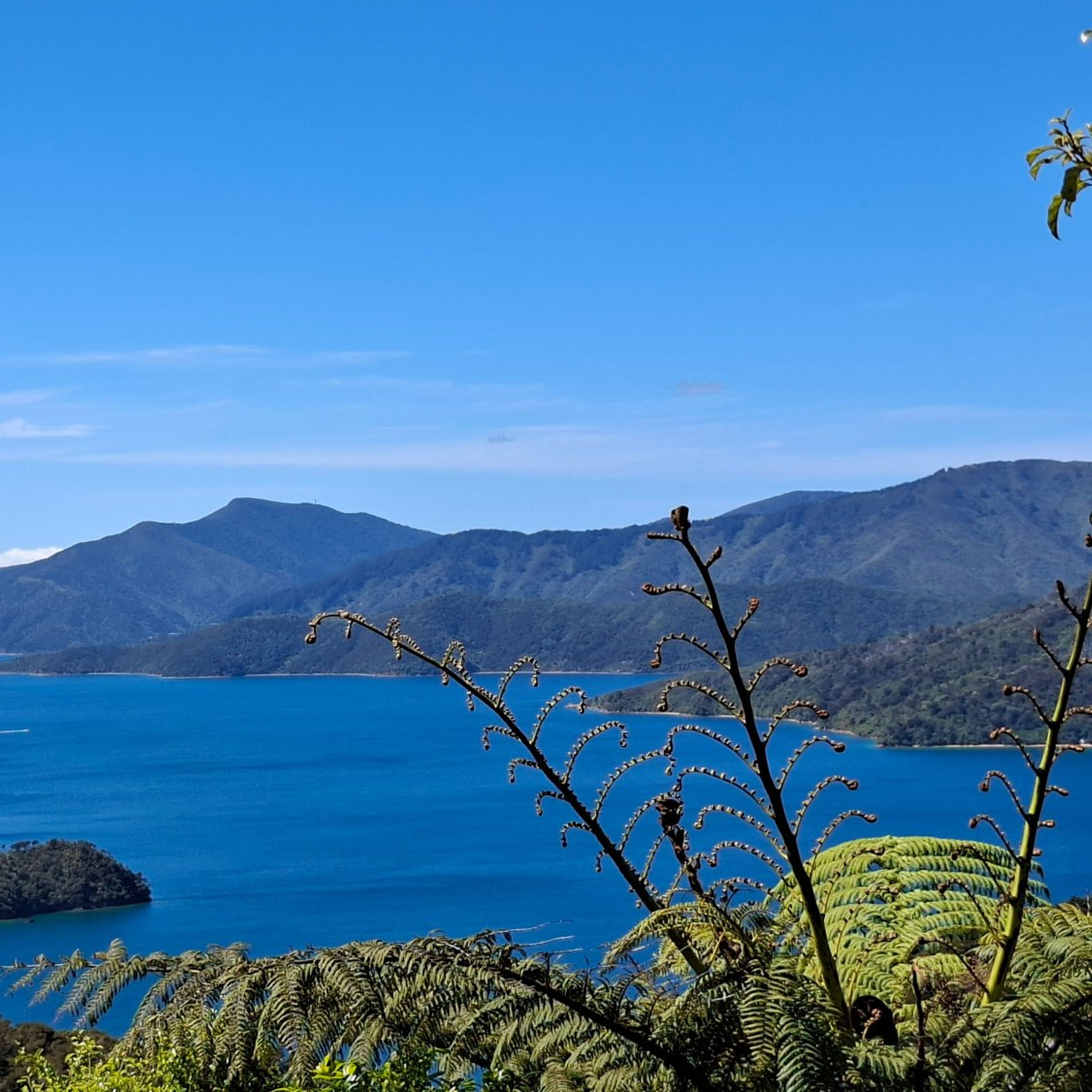 Reisefoto von Mistletoe Bay Eco Village