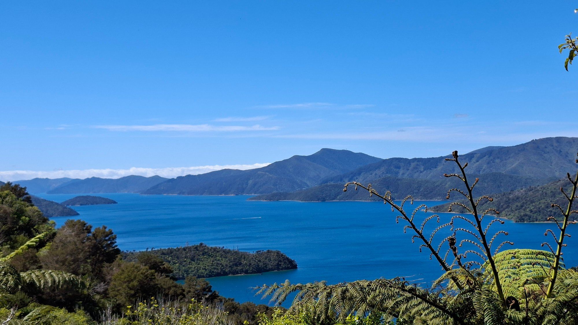 Reisefoto von Mistletoe Bay Eco Village
