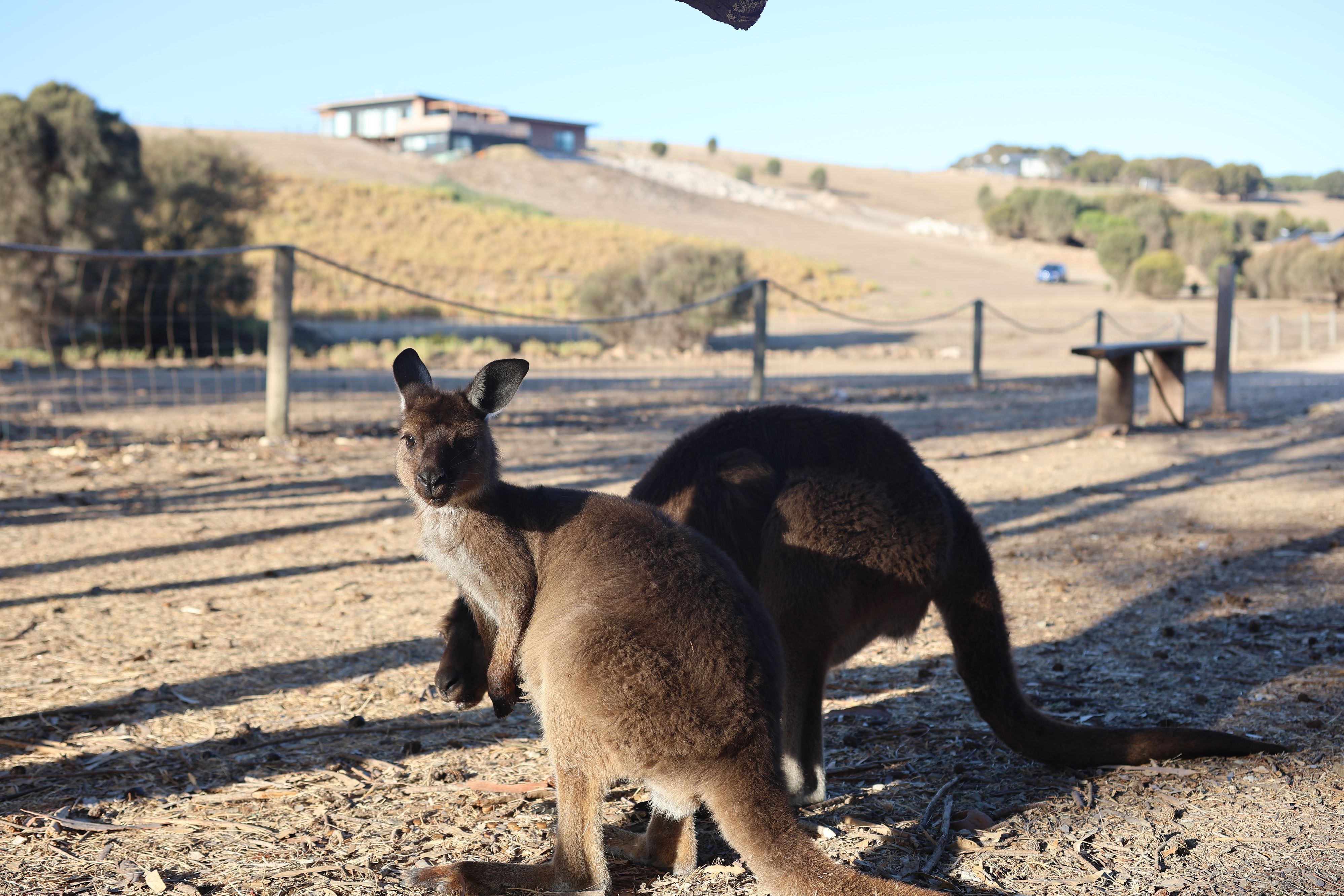 Stokes Bay Campground - Image 3