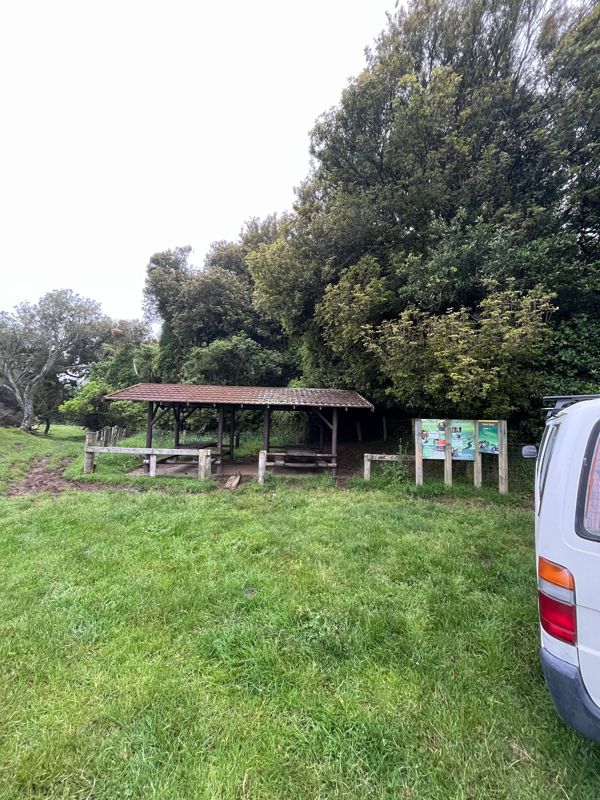 Mohi Bush Scenic Reserve