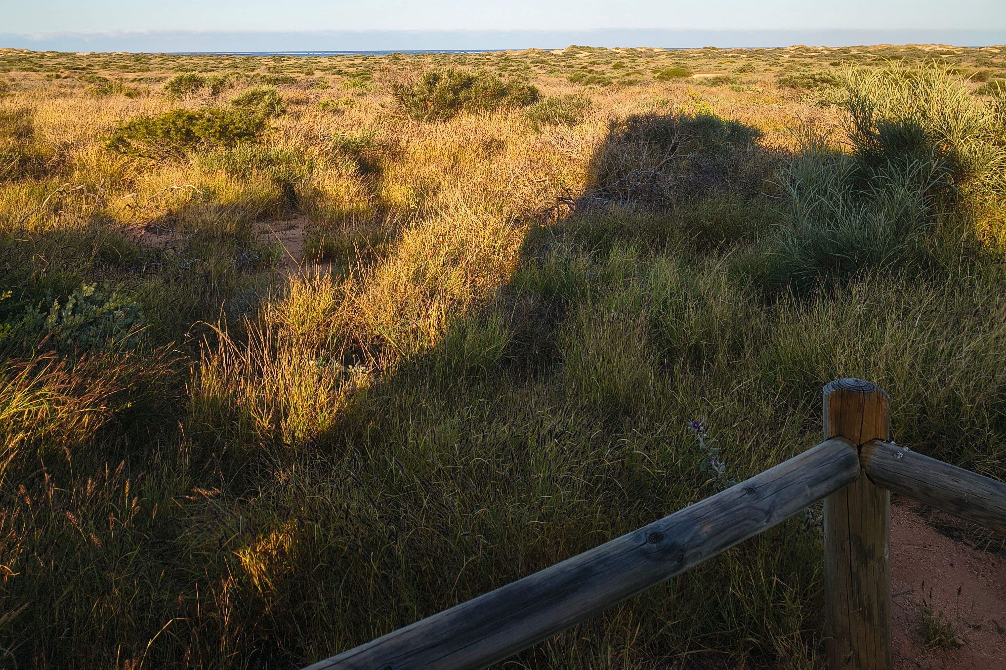 Bungarra obóz - Image 3