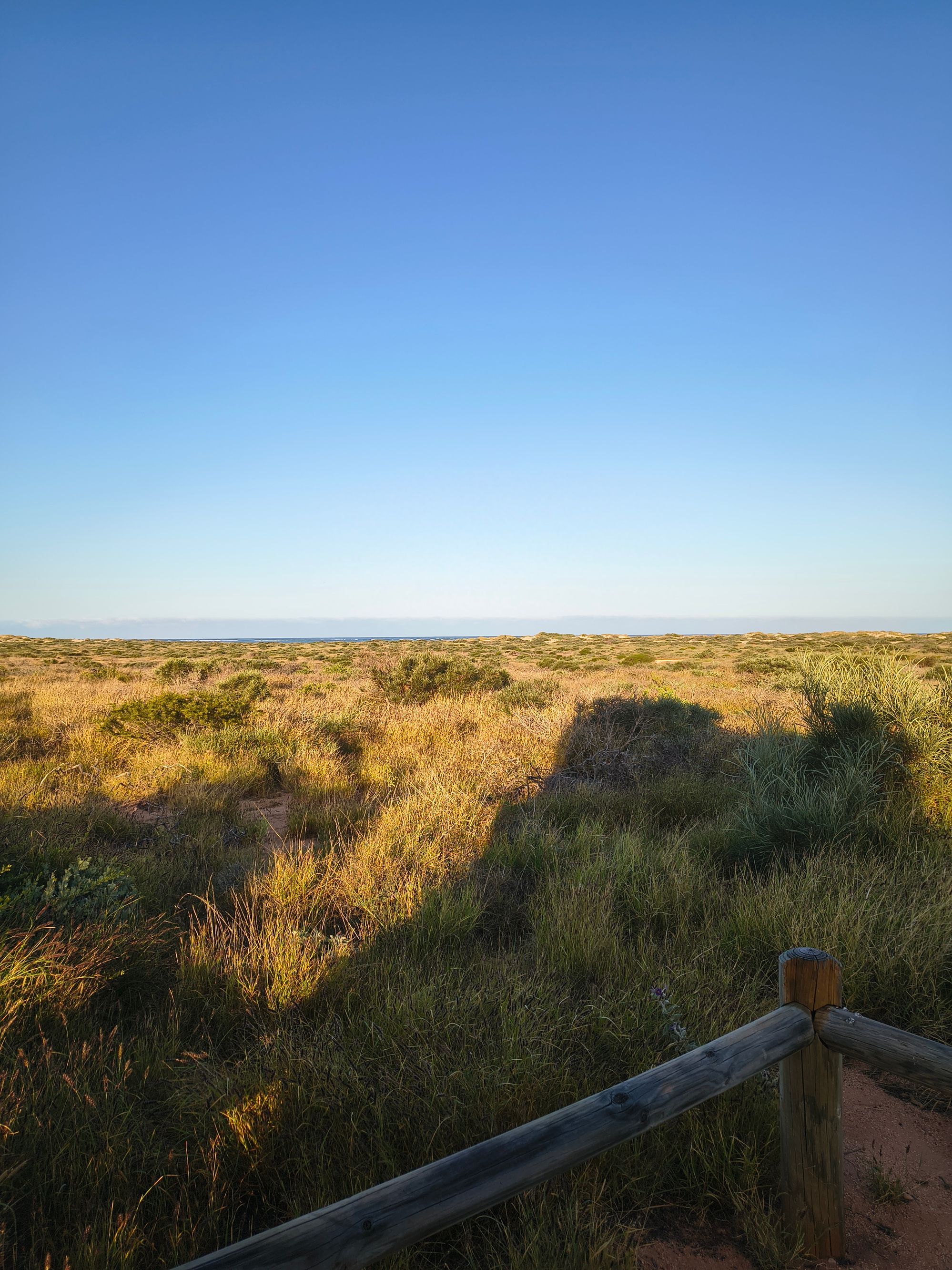 Bungarra obóz - Image 3