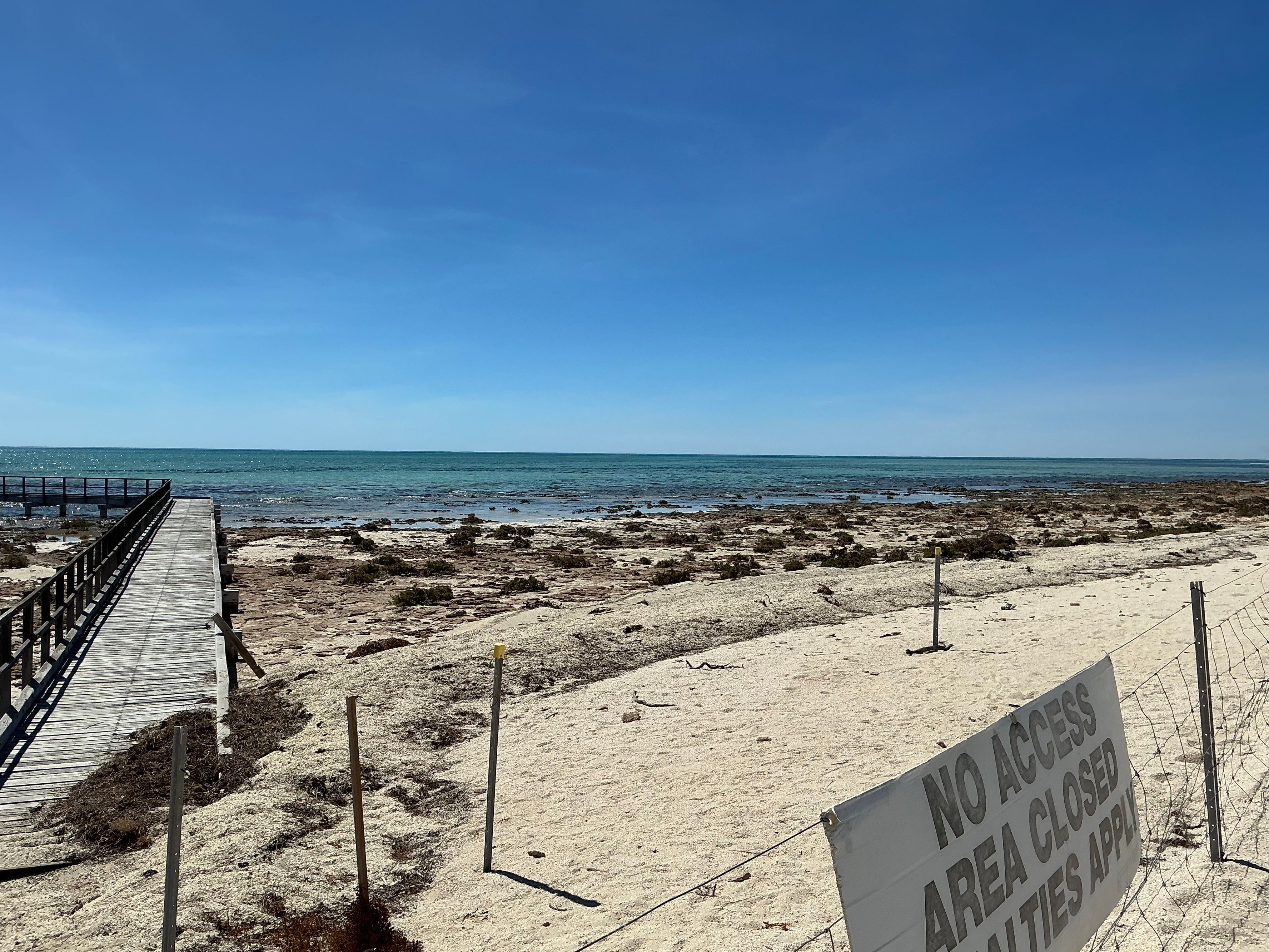 Hamelin Pool Marine Nature Reserve - Image 3