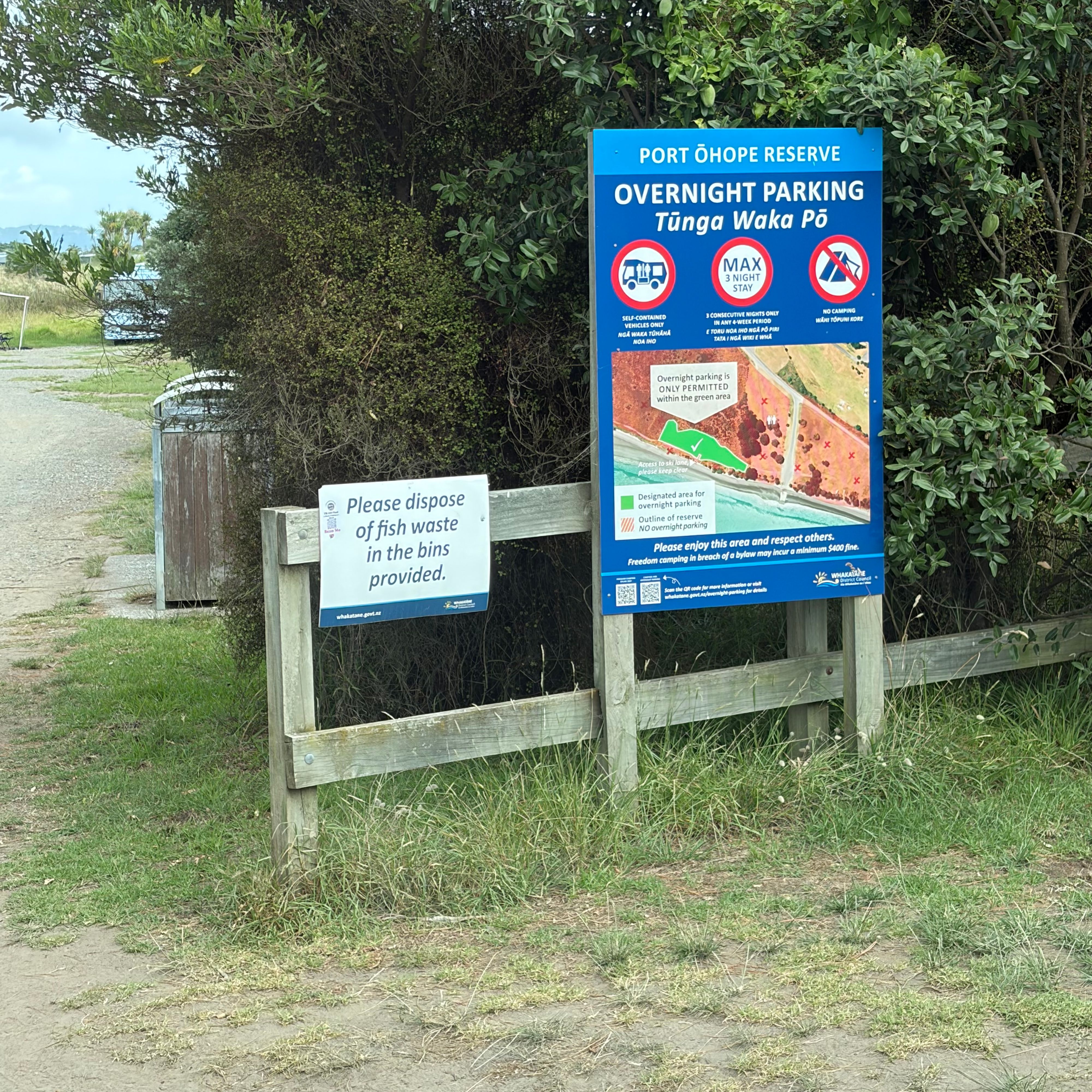 Port Ohope Reserve Freedom Camping area - Image 2