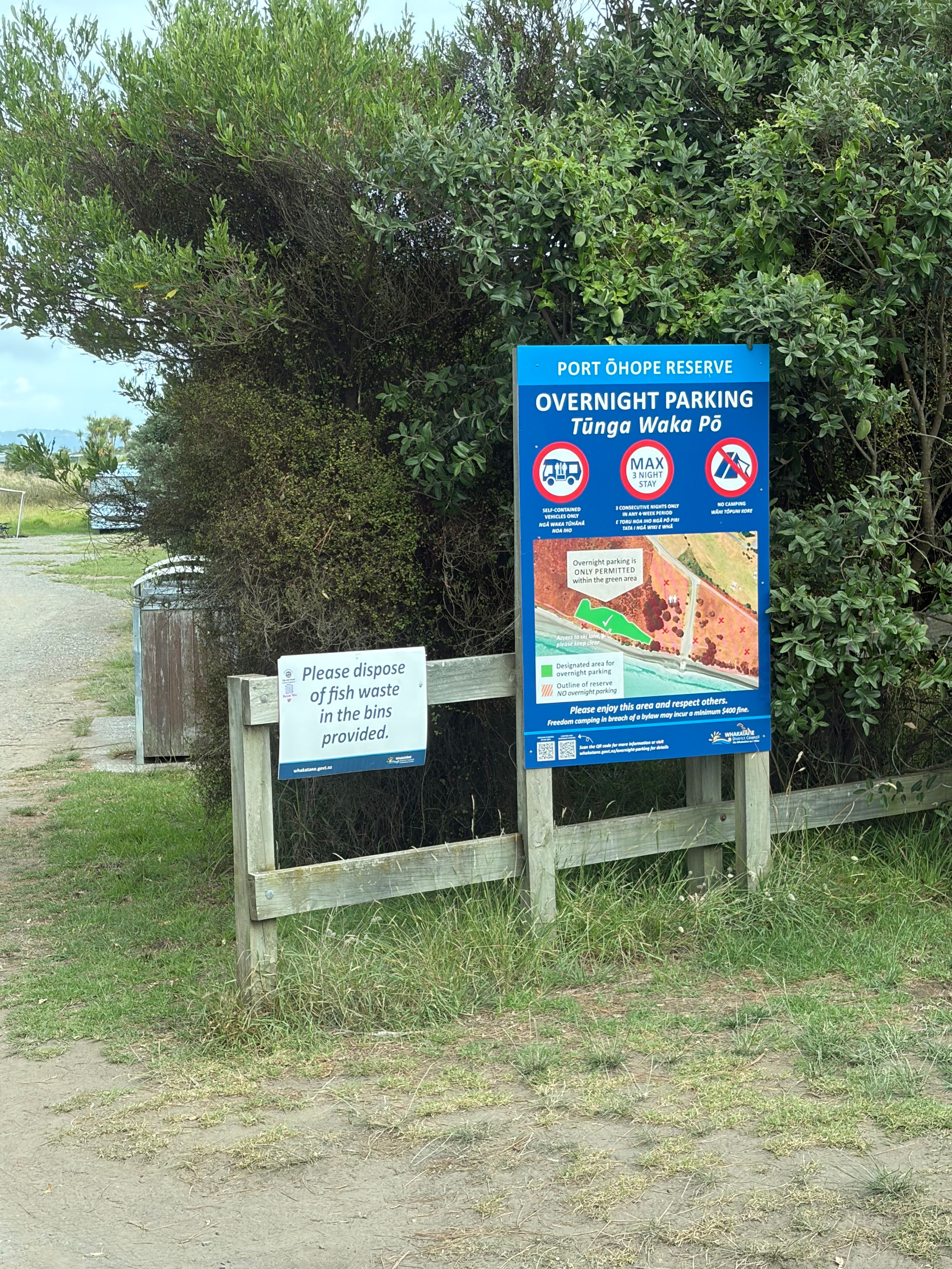 Port Ohope Reserve Freedom Camping area - Image 2