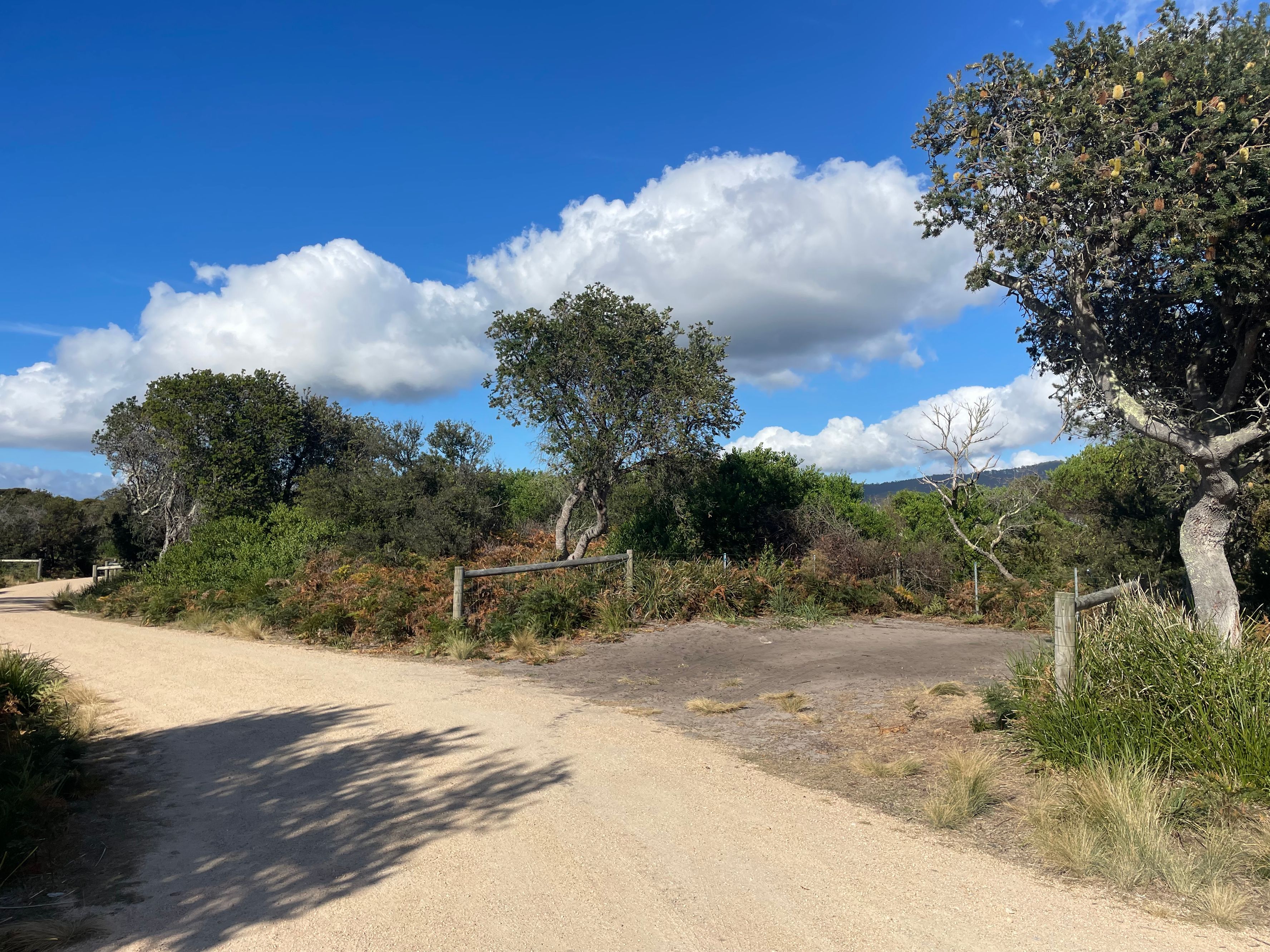 Restaurantes em Diana's Basin Campground - Image 3