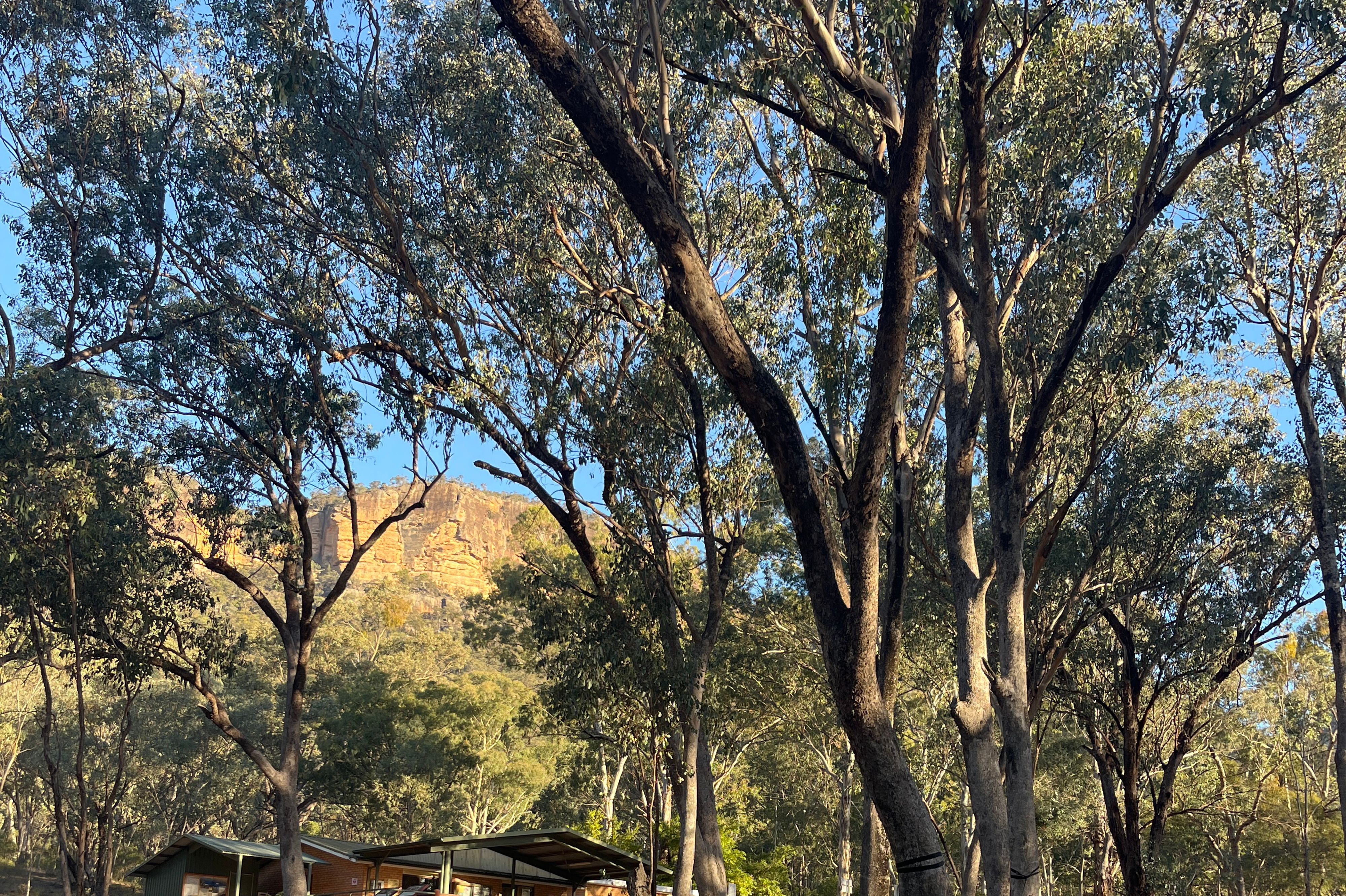 Glen Davis Campground - Image 3