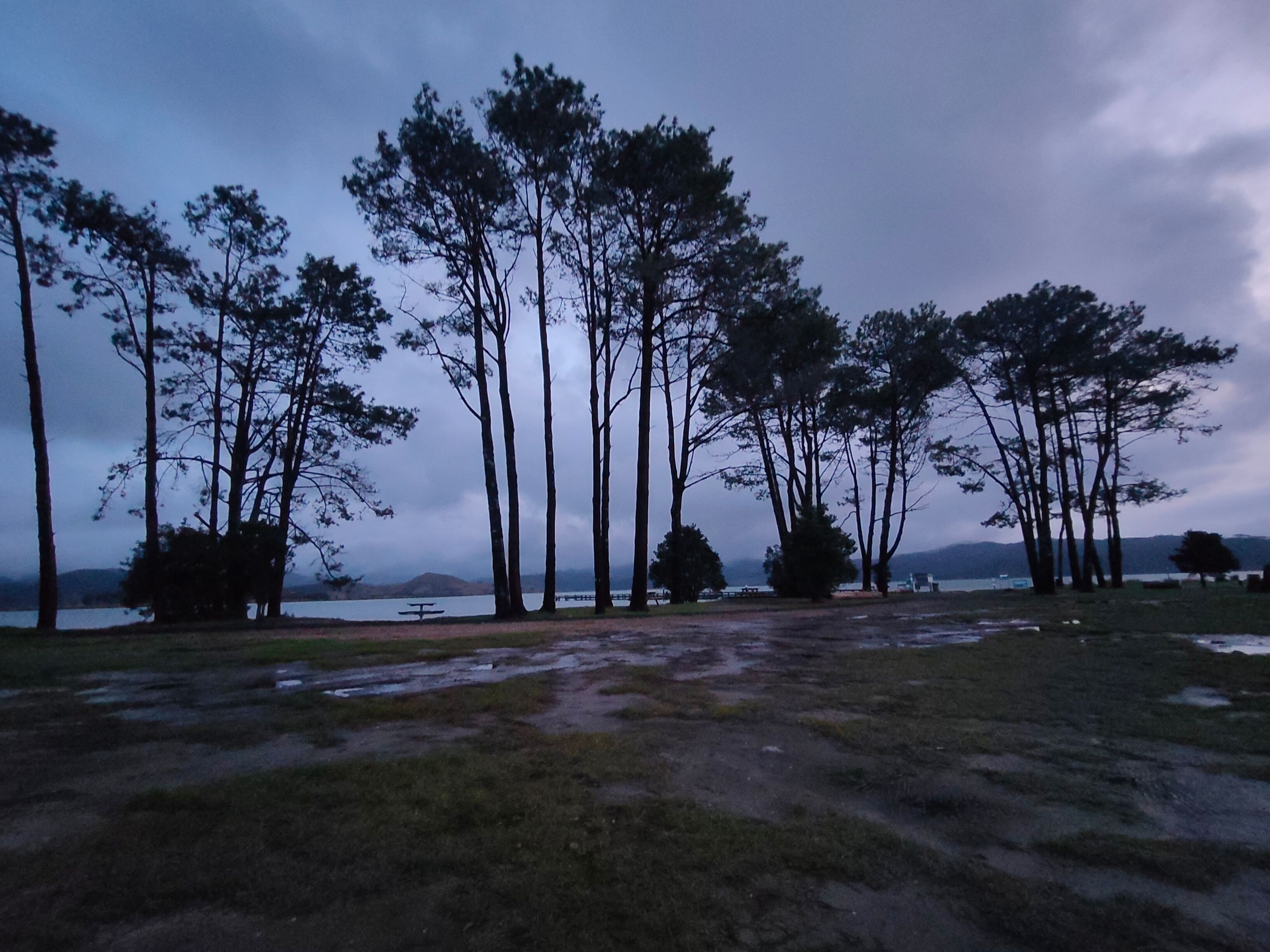 Matarangi Freedom Camping - Image 3
