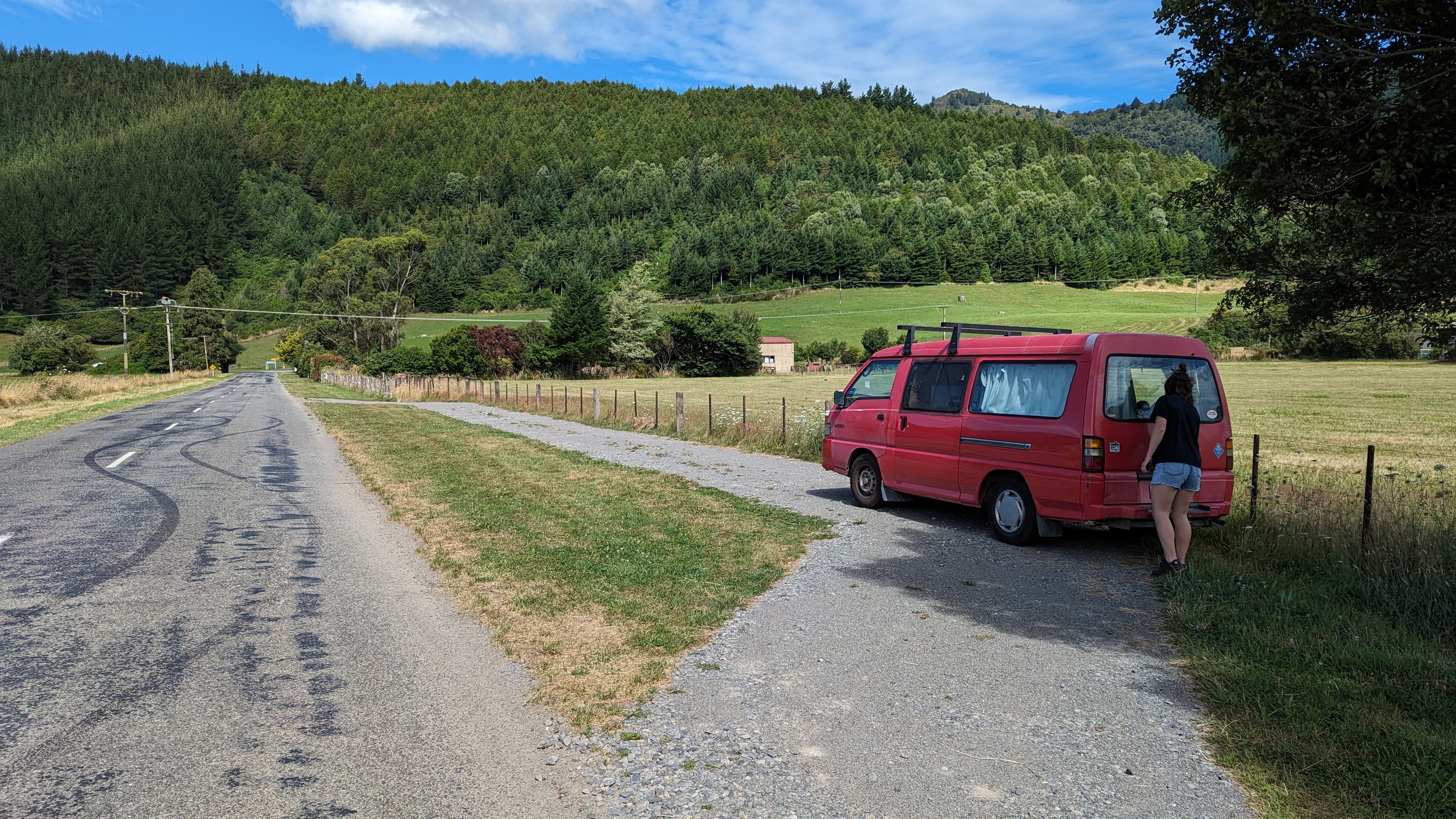 Opouri Road (Lähellä Carluke Domain)