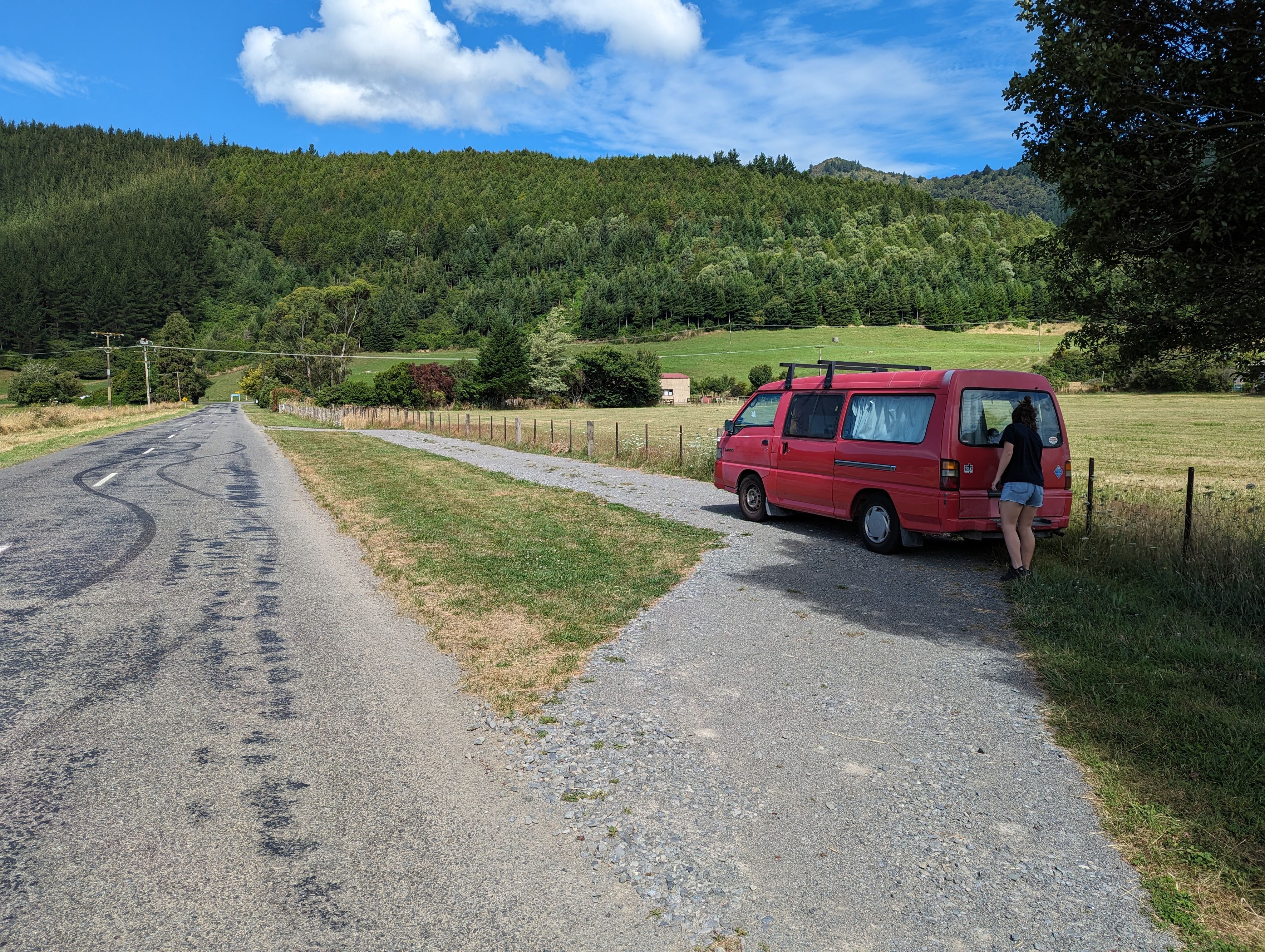 Opouri Road (Lähellä Carluke Domain)