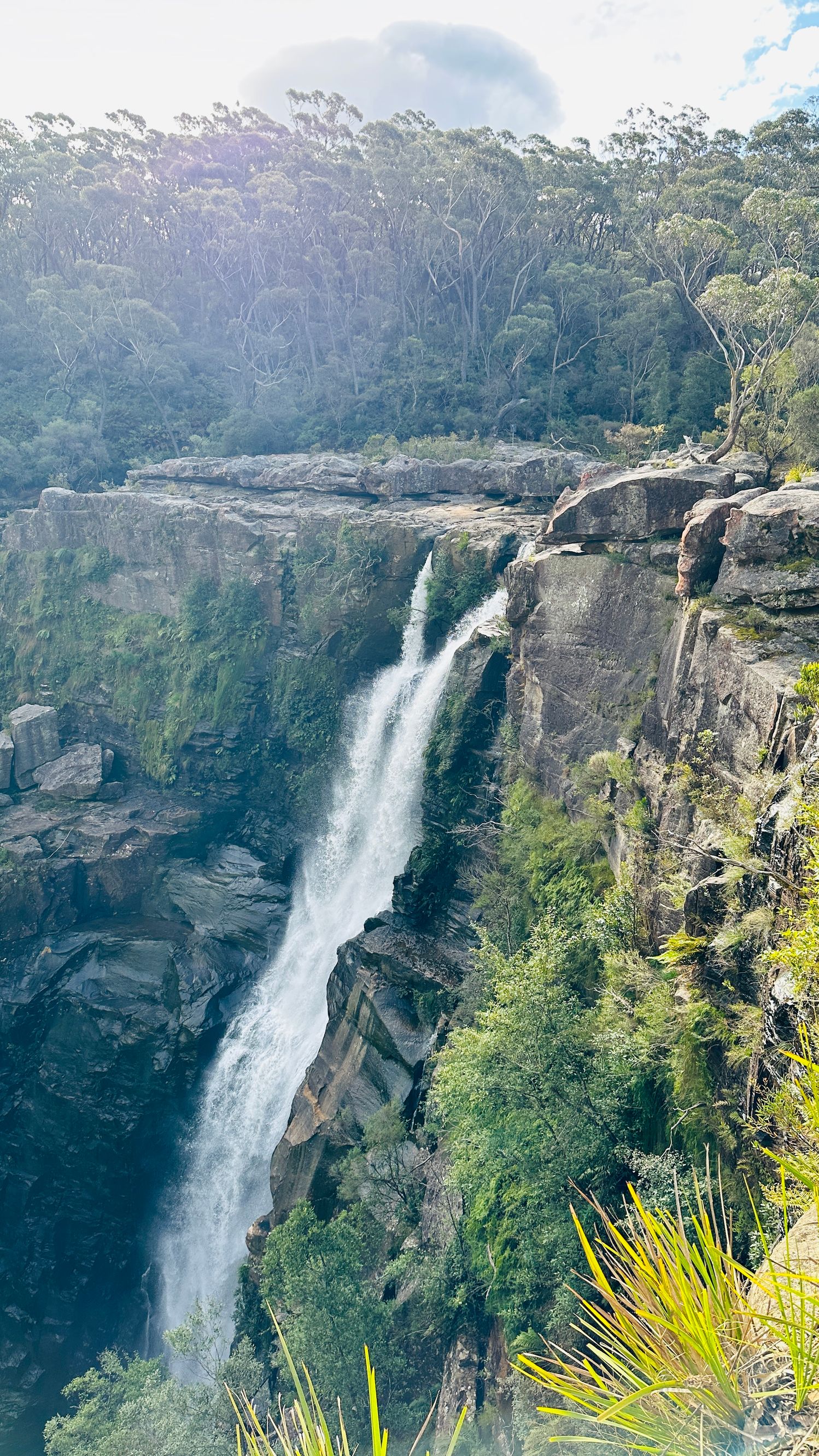 Gerringong Falls Walk
