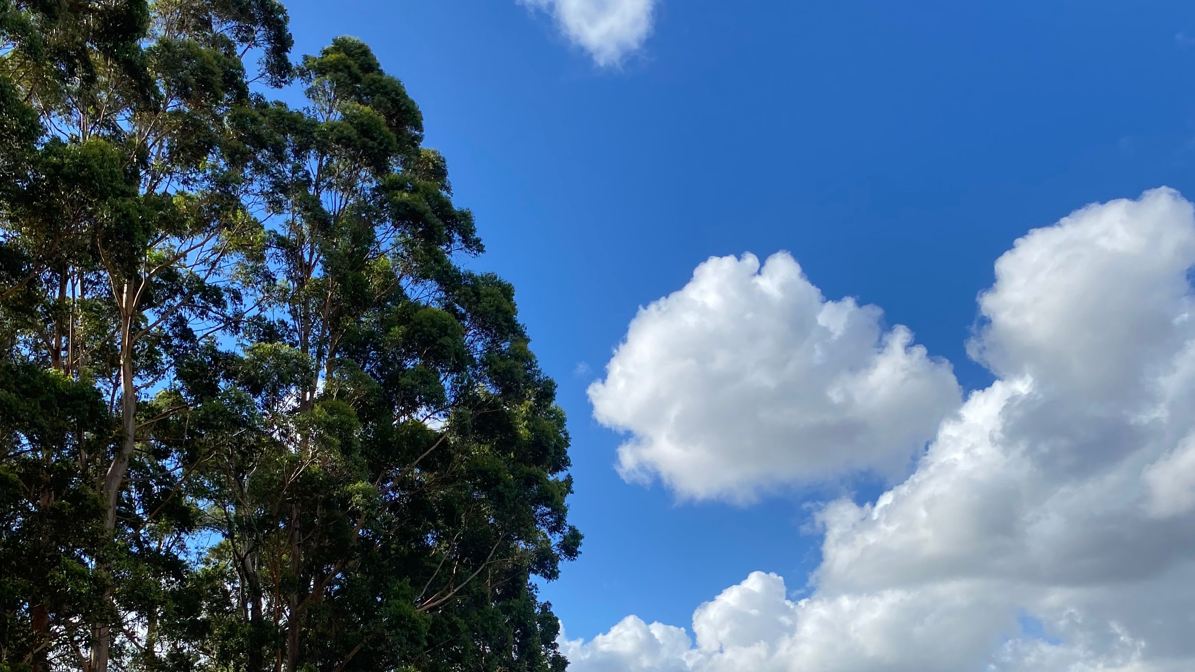 Hôtel Glenbrook Estate Campground