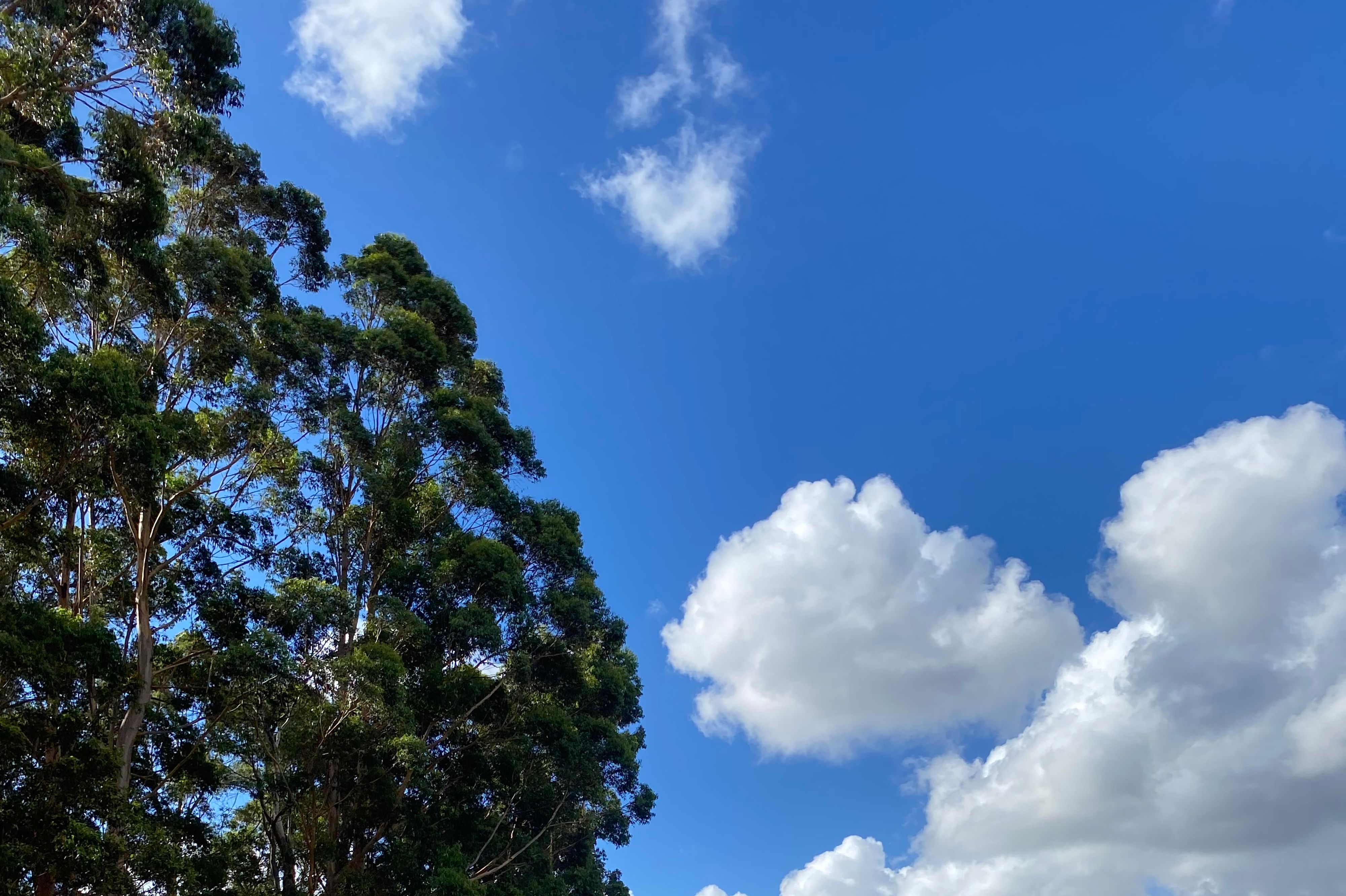 Hôtel Glenbrook Estate Campground