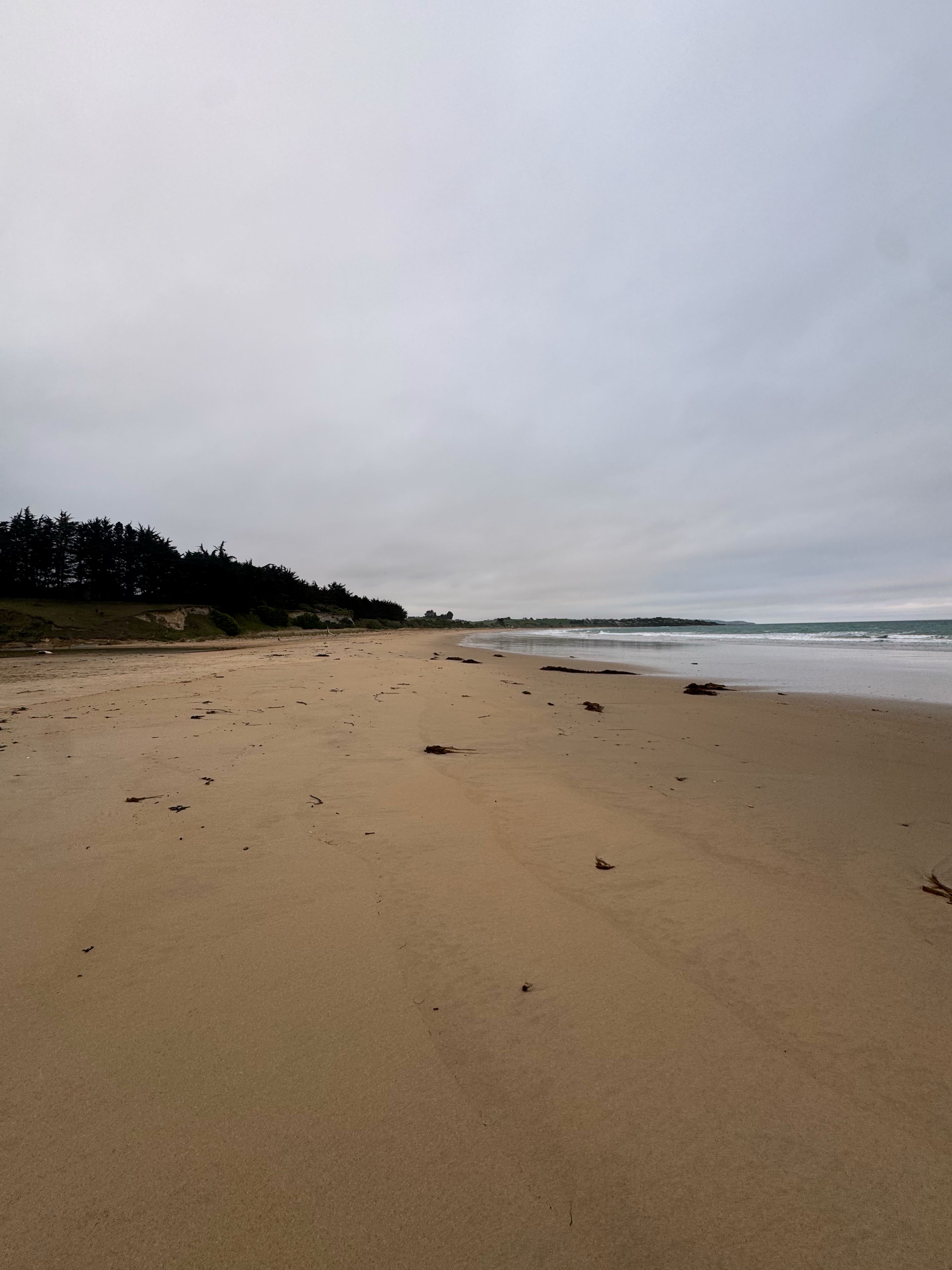 Traveller photo of All Day Bay Free Campground