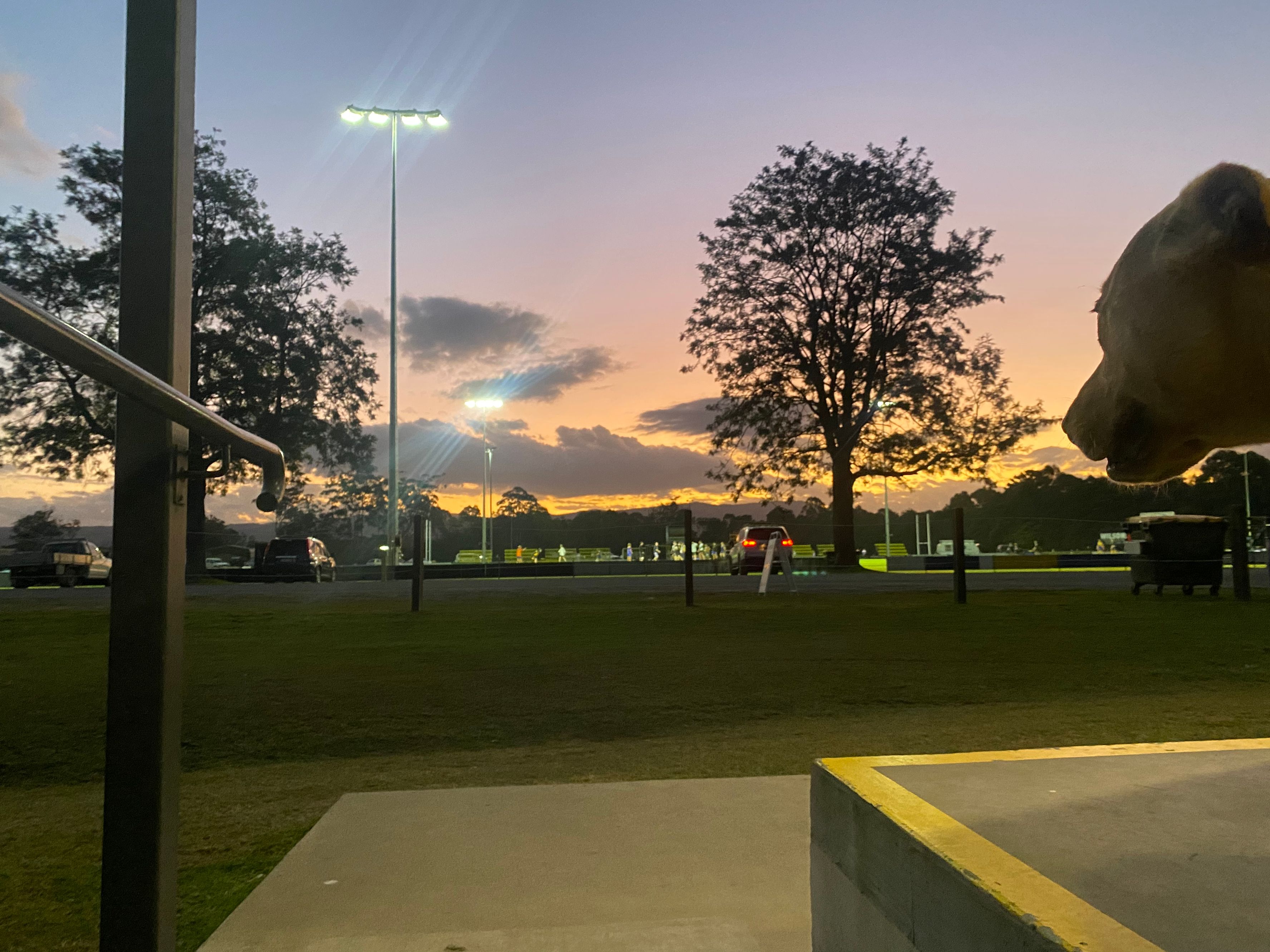 Mullumbimby Rugby League Club - Image 3
