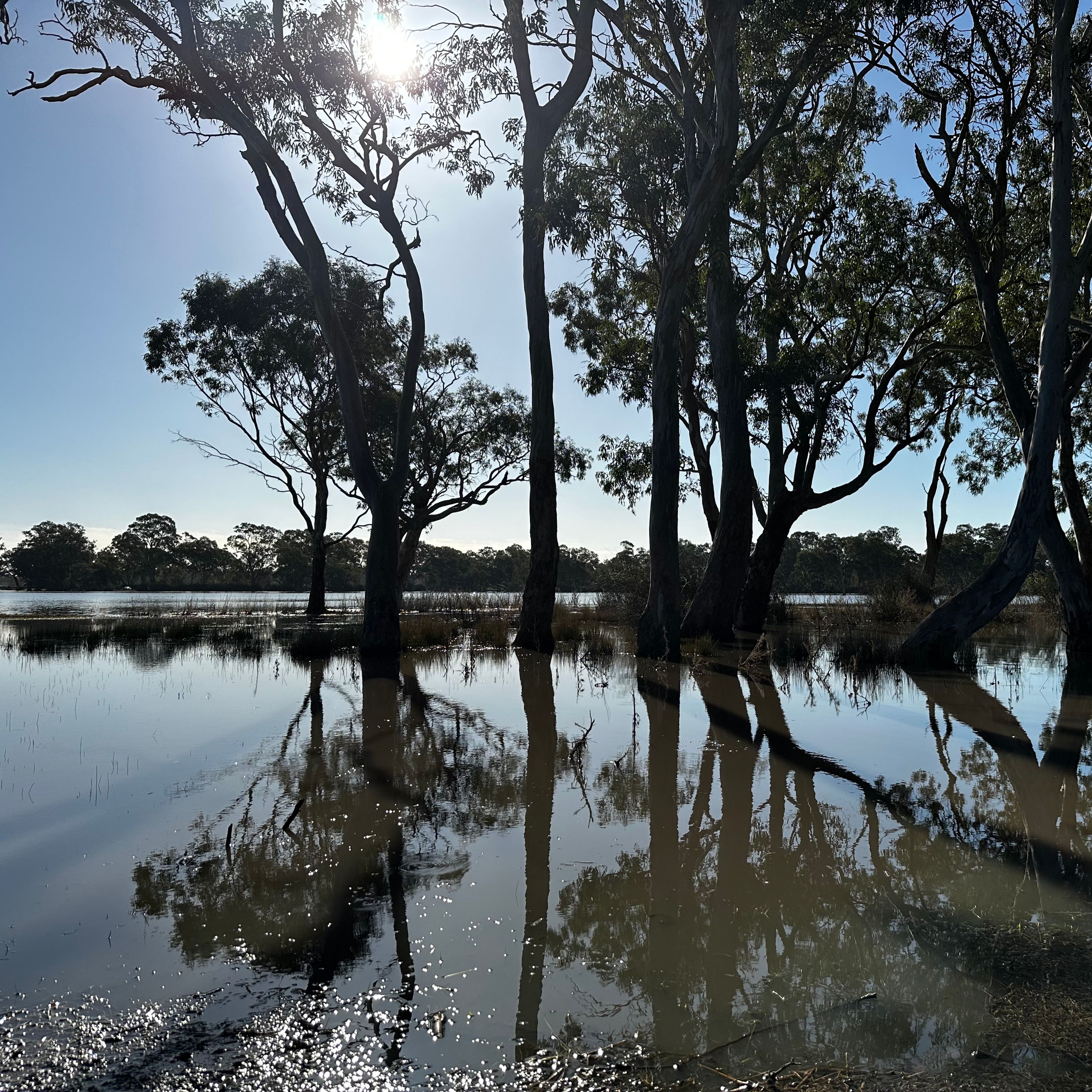 Фото путешественника Cockatoo Lake Reserve