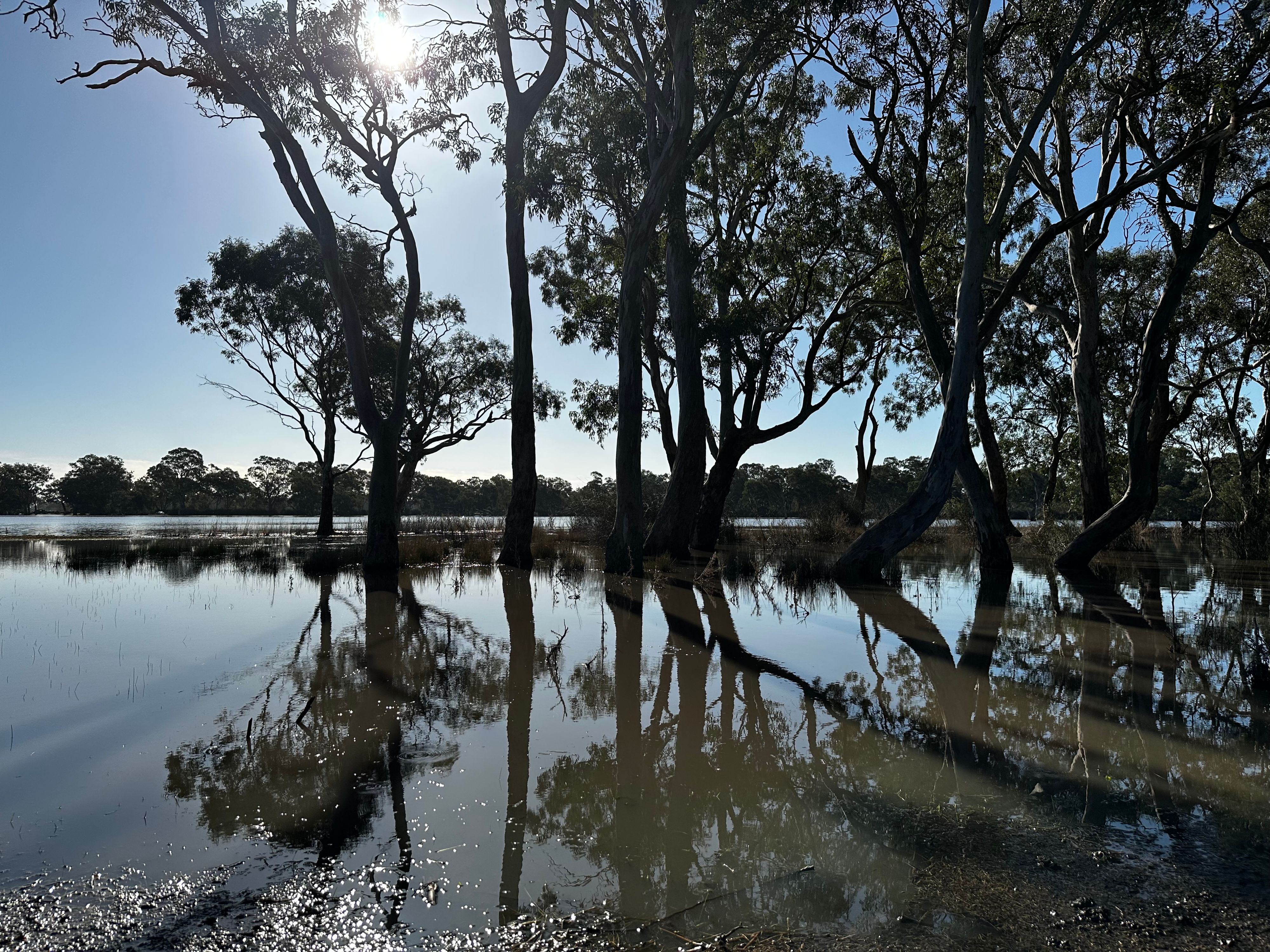 Фото путешественника Cockatoo Lake Reserve