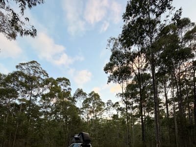 Tomerong Rest Area - Free Camping in State Forest