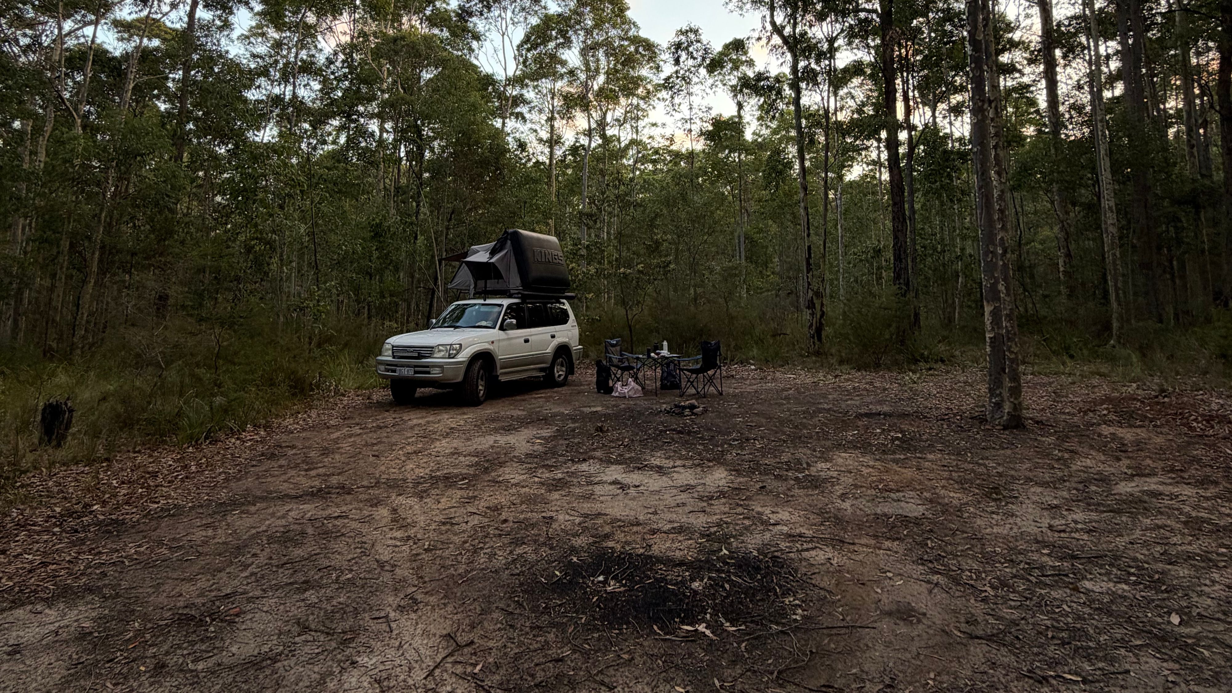 Tomerong Rest Area - Free Camping in State Forest