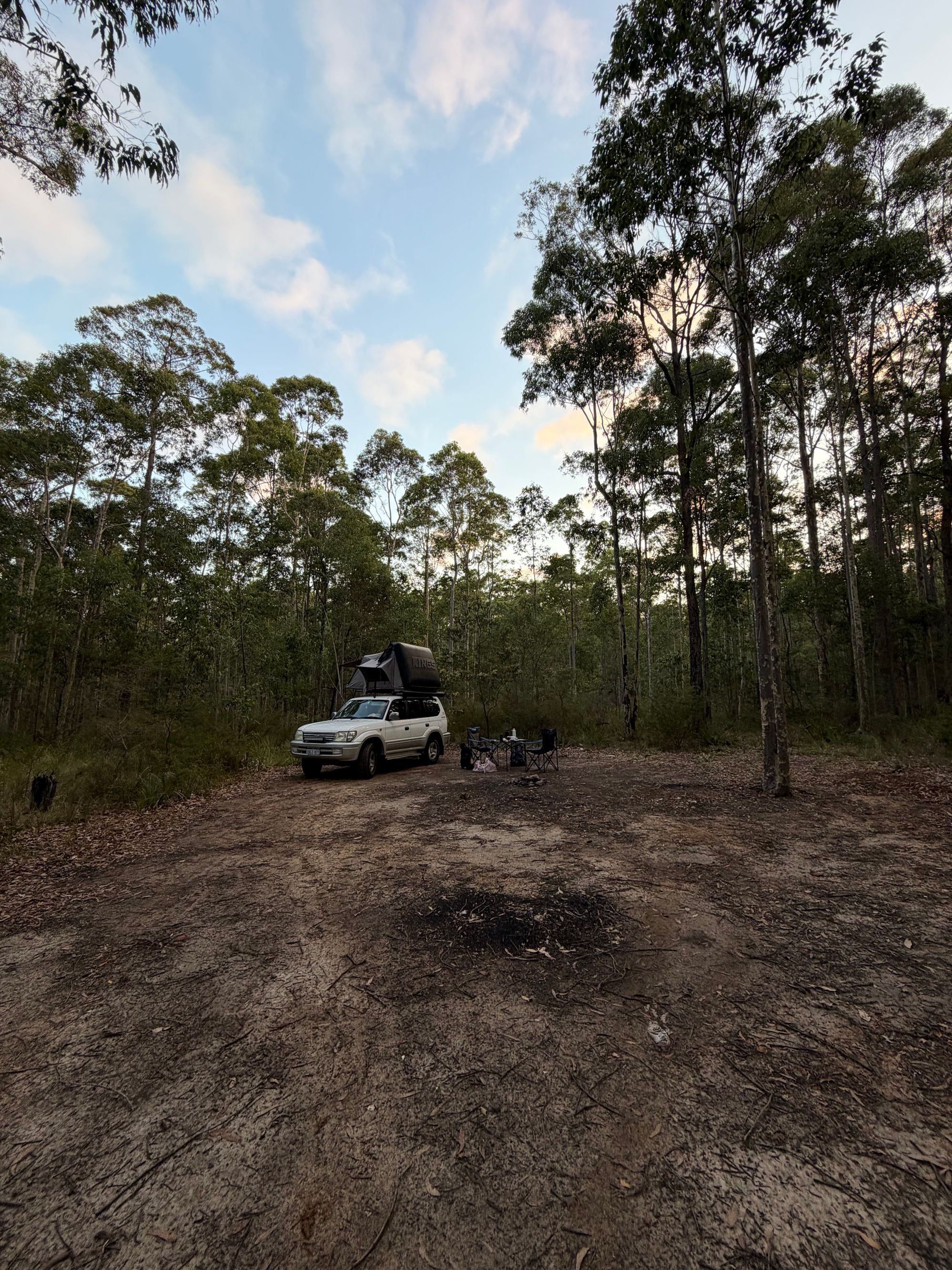Tomerong Rest Area - Free Camping in State Forest
