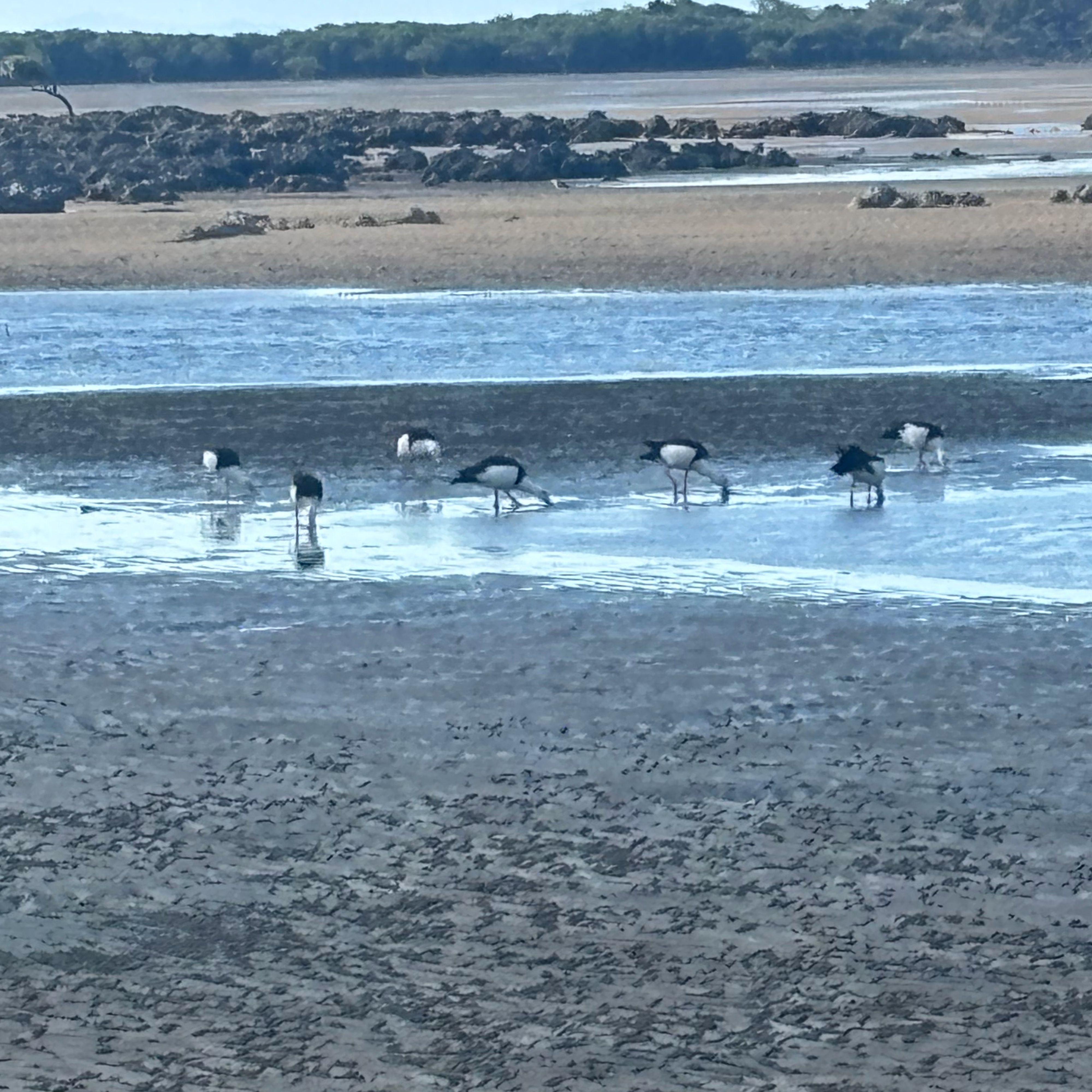 Ảnh du khách của St Helens Camp Reserve