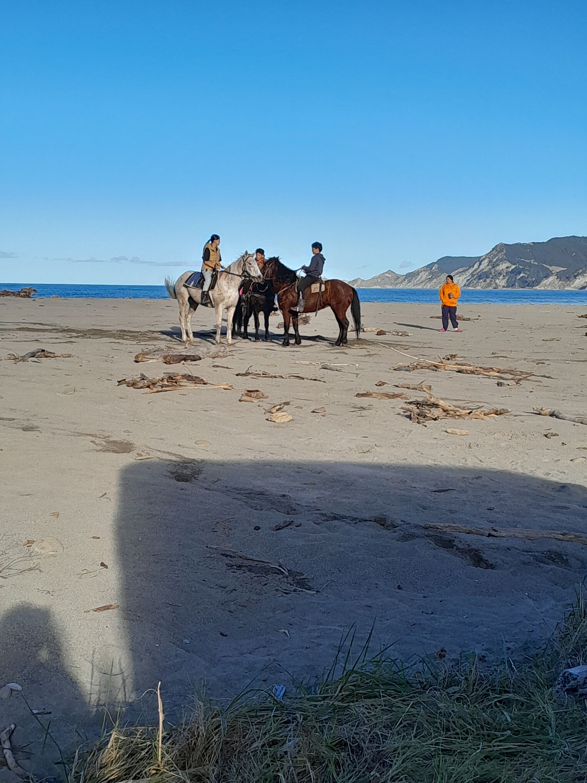 Tokomaru Bay North - Image 3