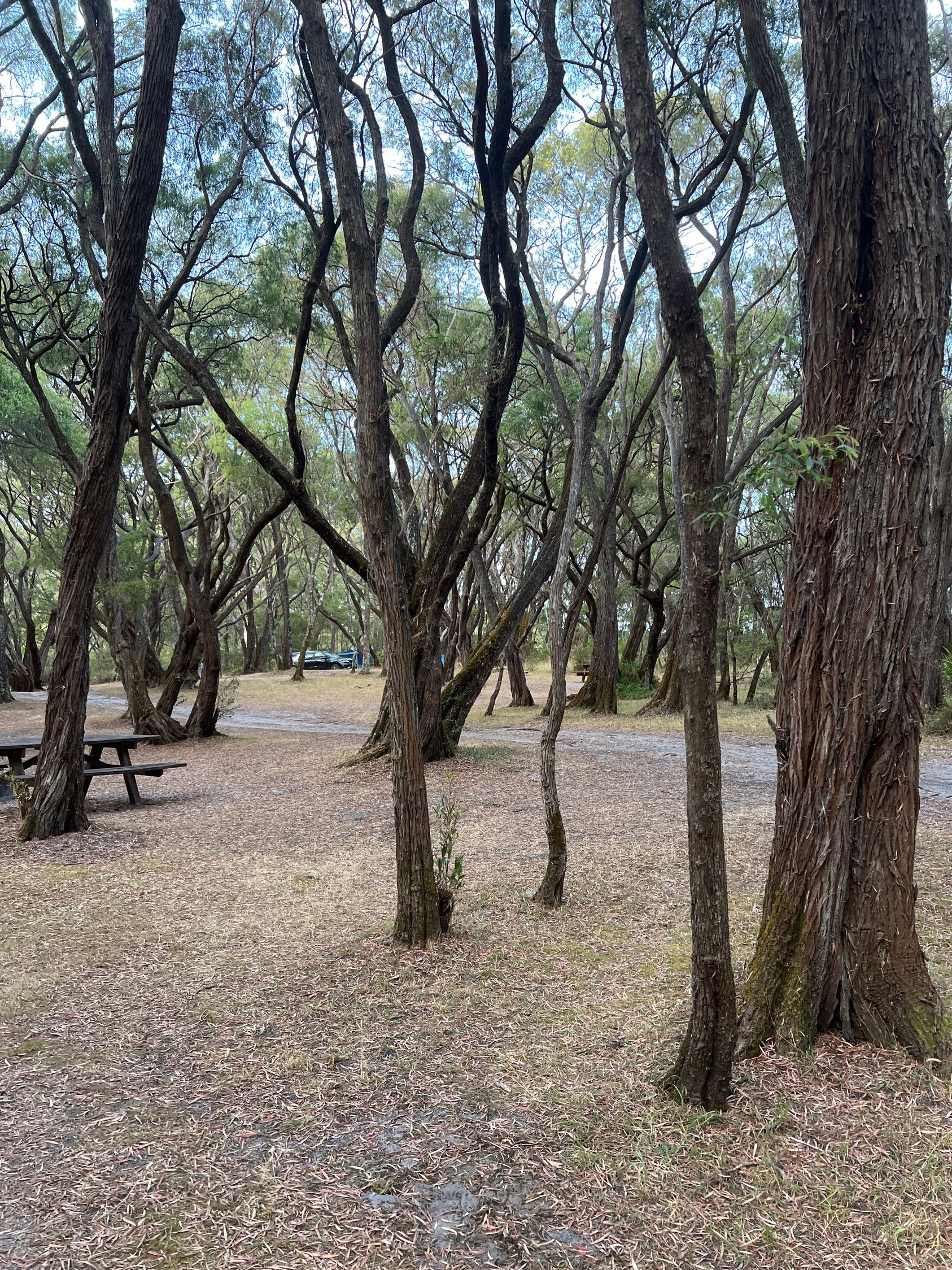 Crystal Springs Campground