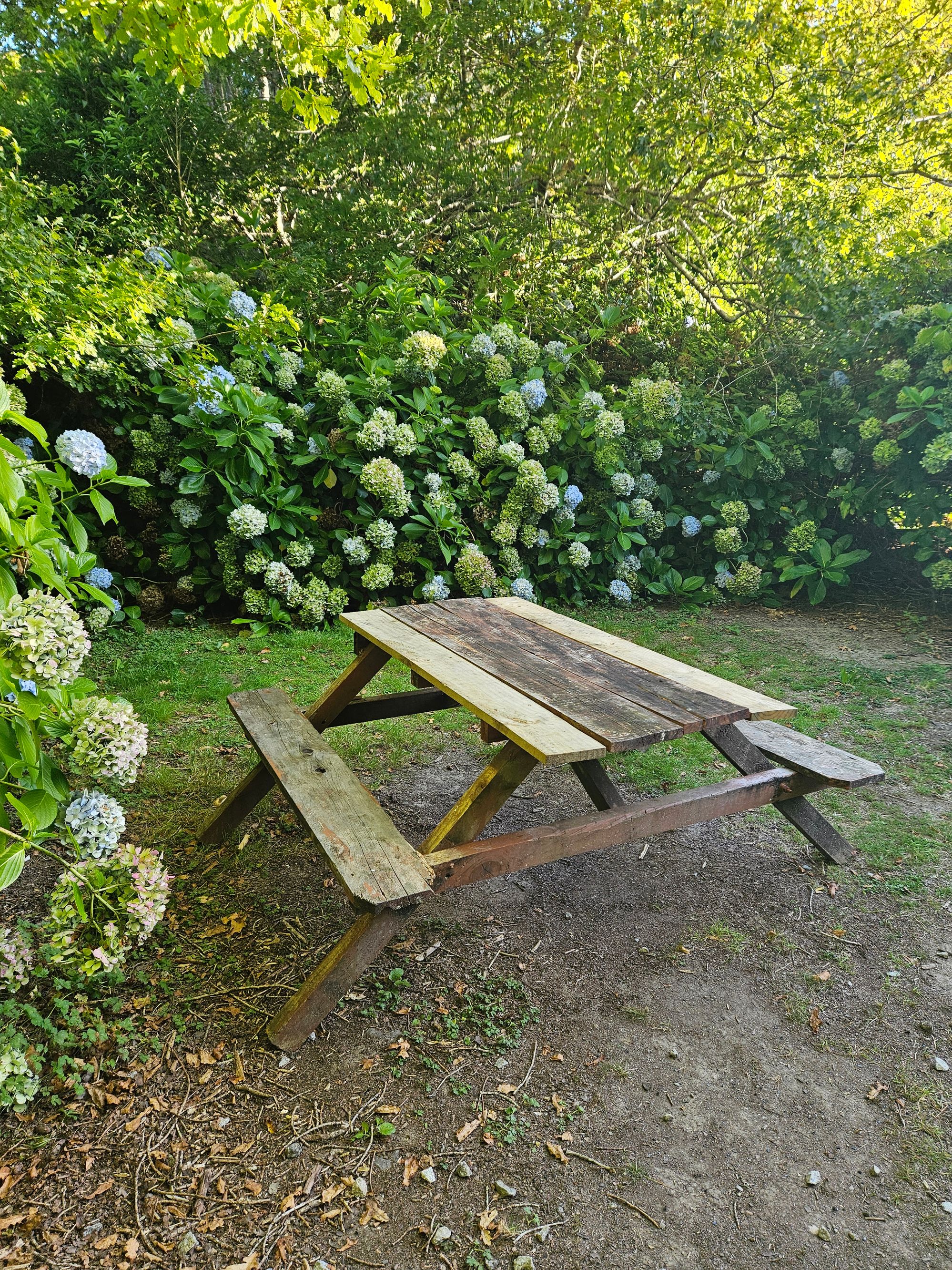 Jacks gjestehus - Image 3