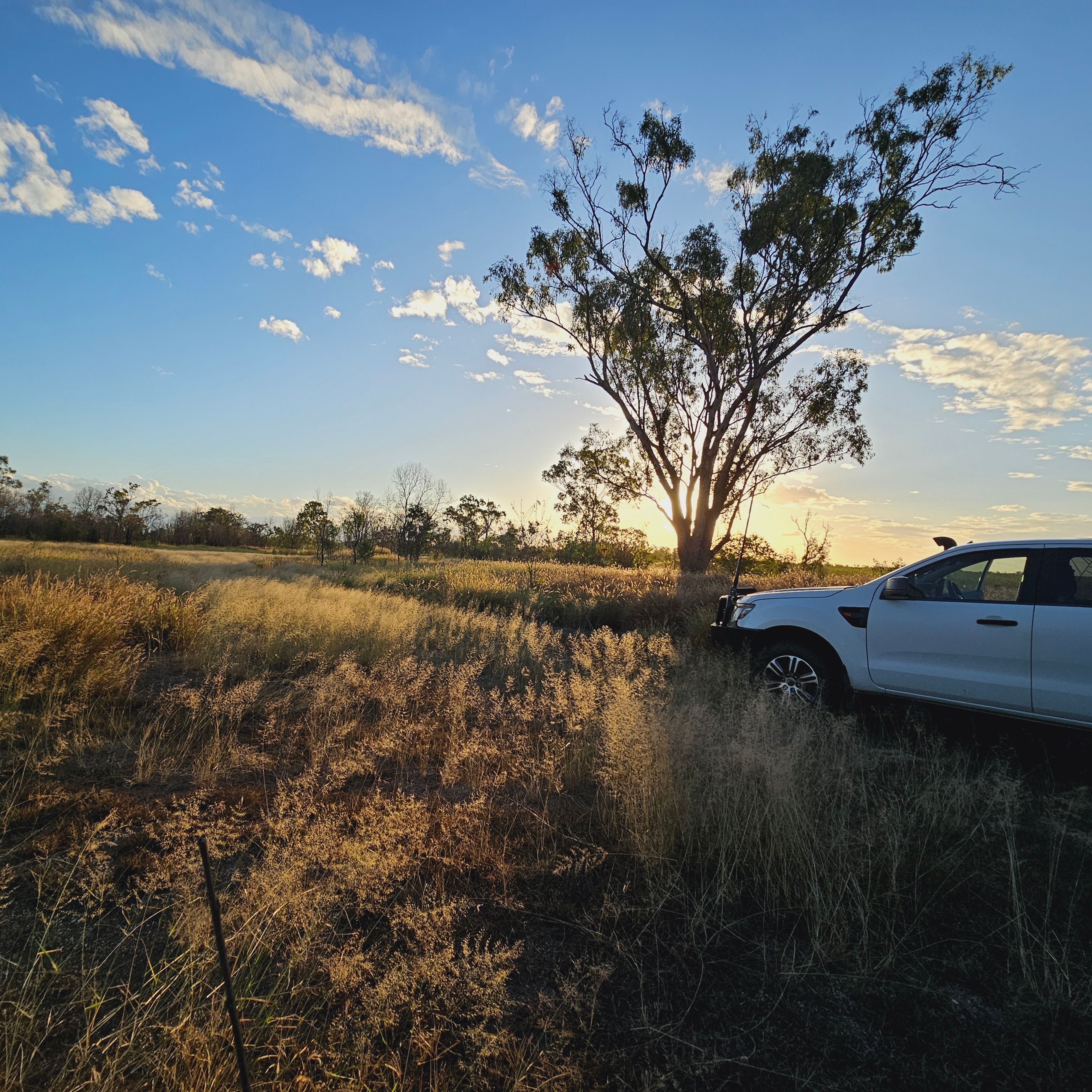 Nanya Road Camping Area - Image 2