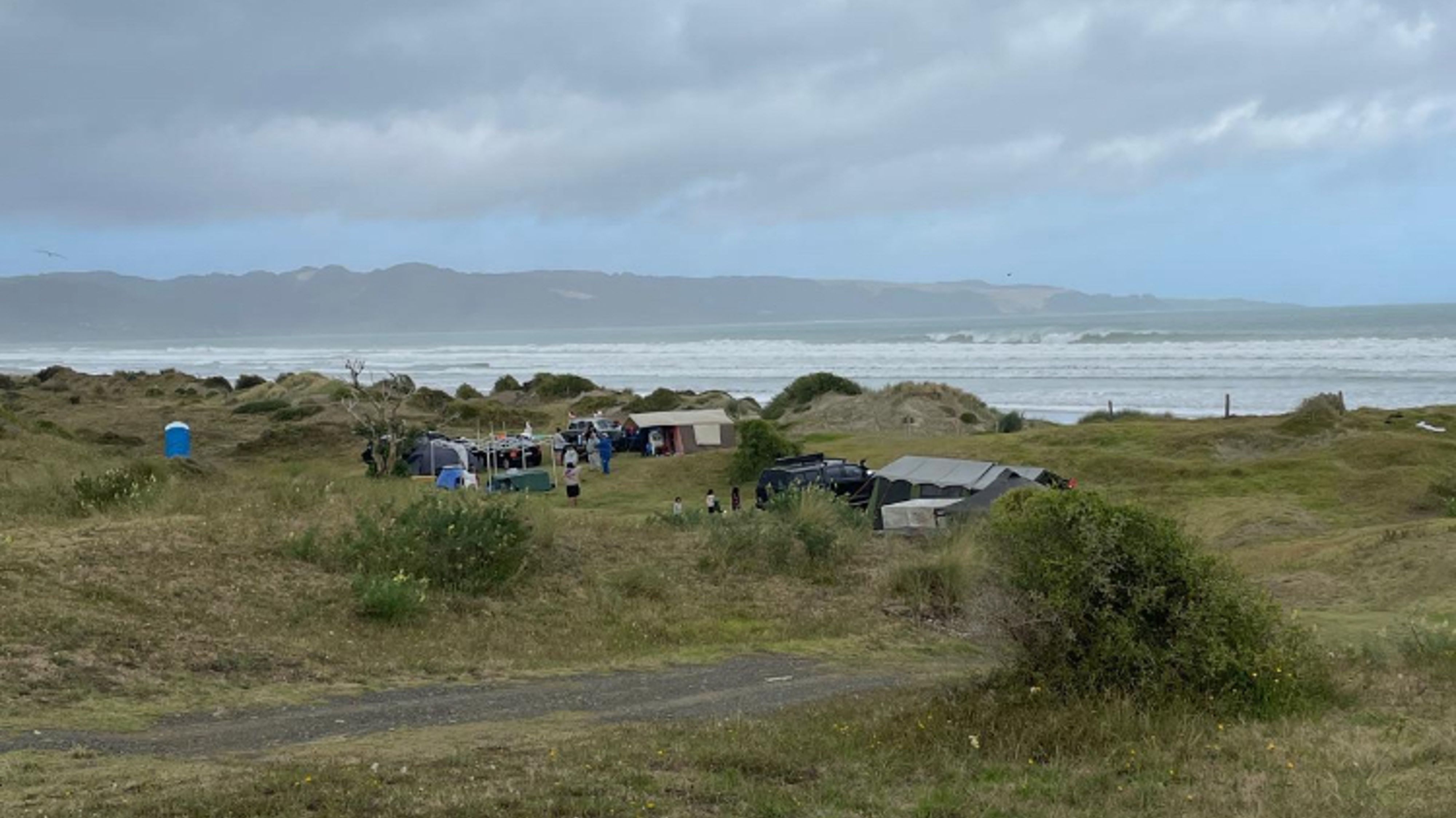 Il campo della fattoria di Wairoa