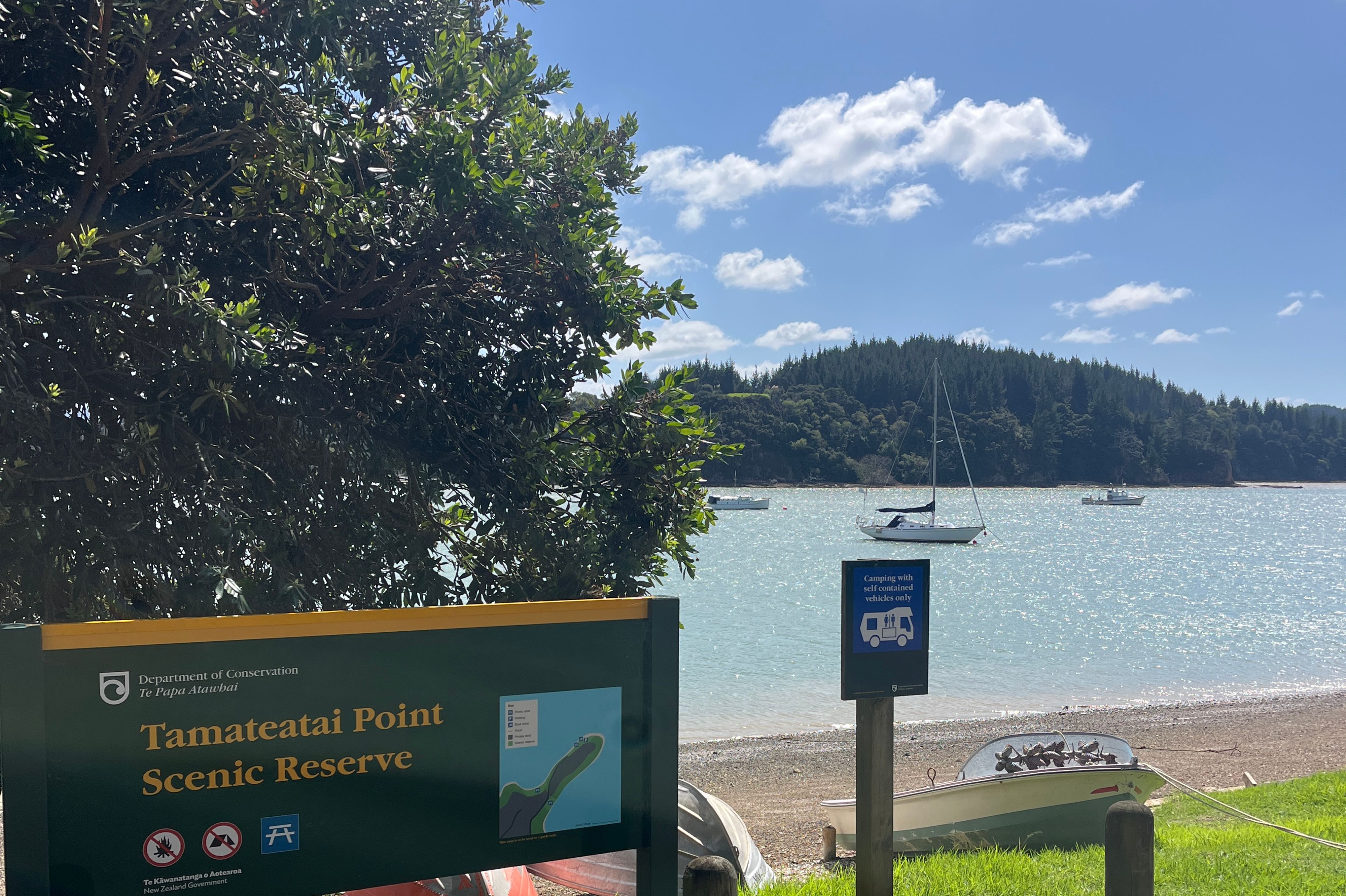موقع Tamateatai Point Scenic Reserve - Image 2
