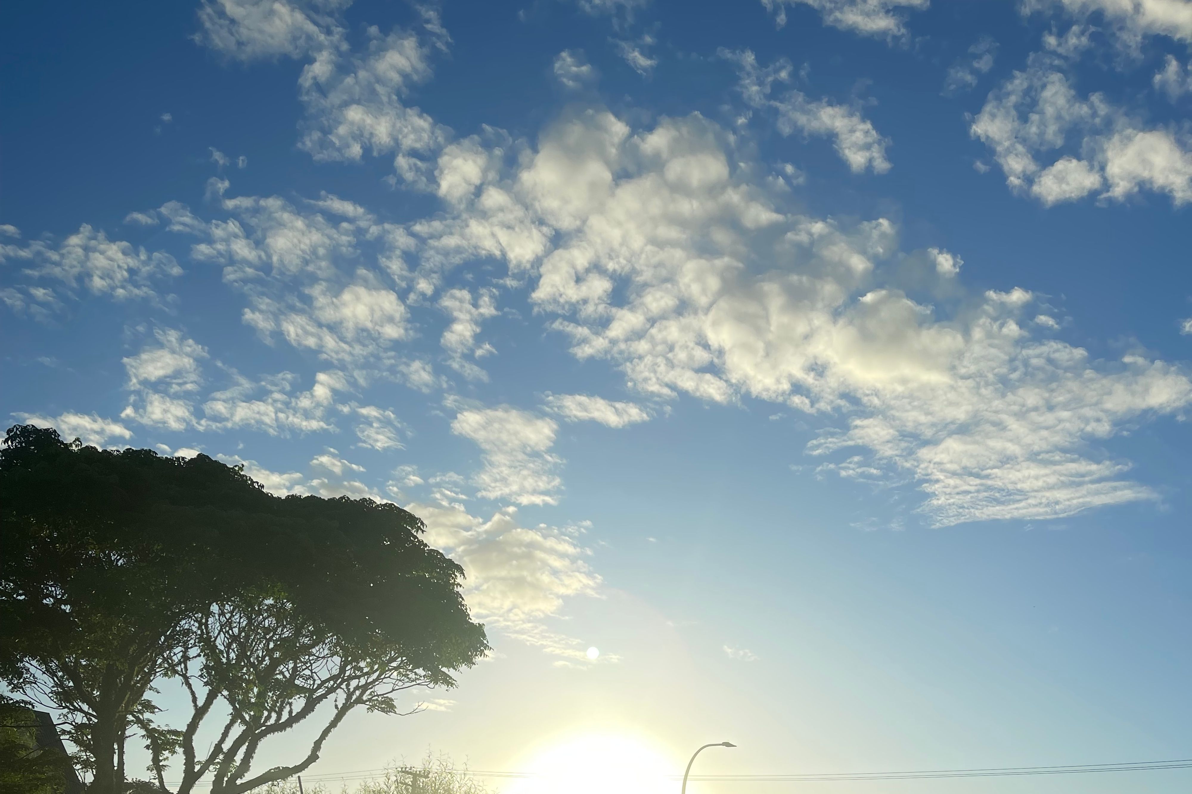 Tairua Campground - Image 2