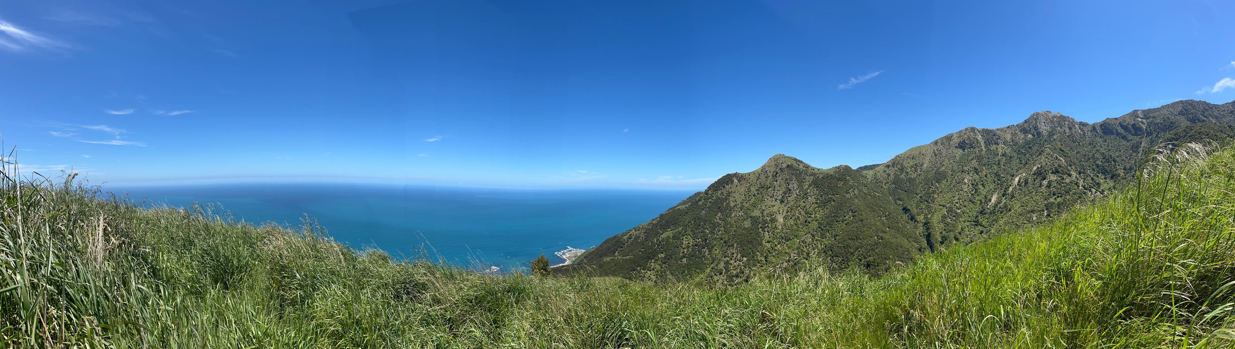 Pacific Lookout Track - Image 3