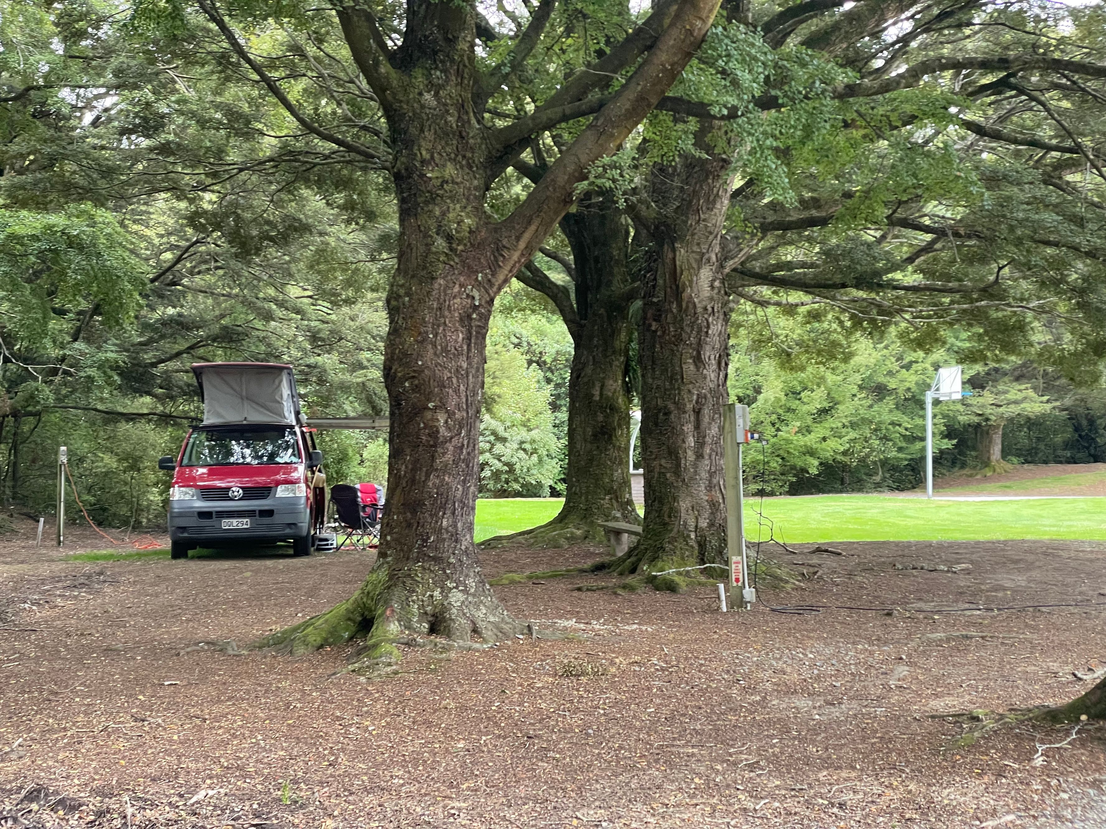 Dolamore Park Scenic Reserve - Image 3