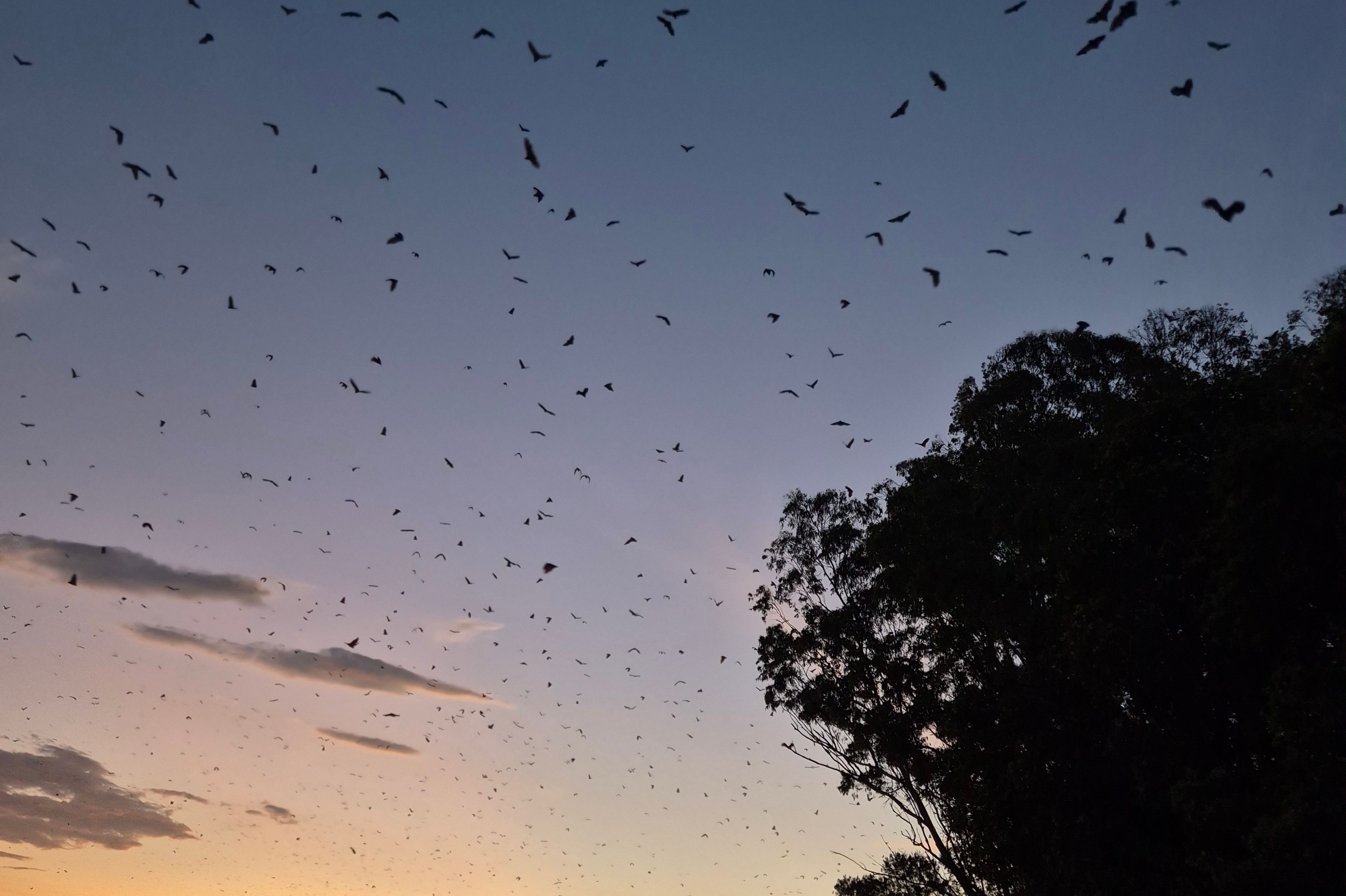 Wingham Riverside Reserve - Image 3