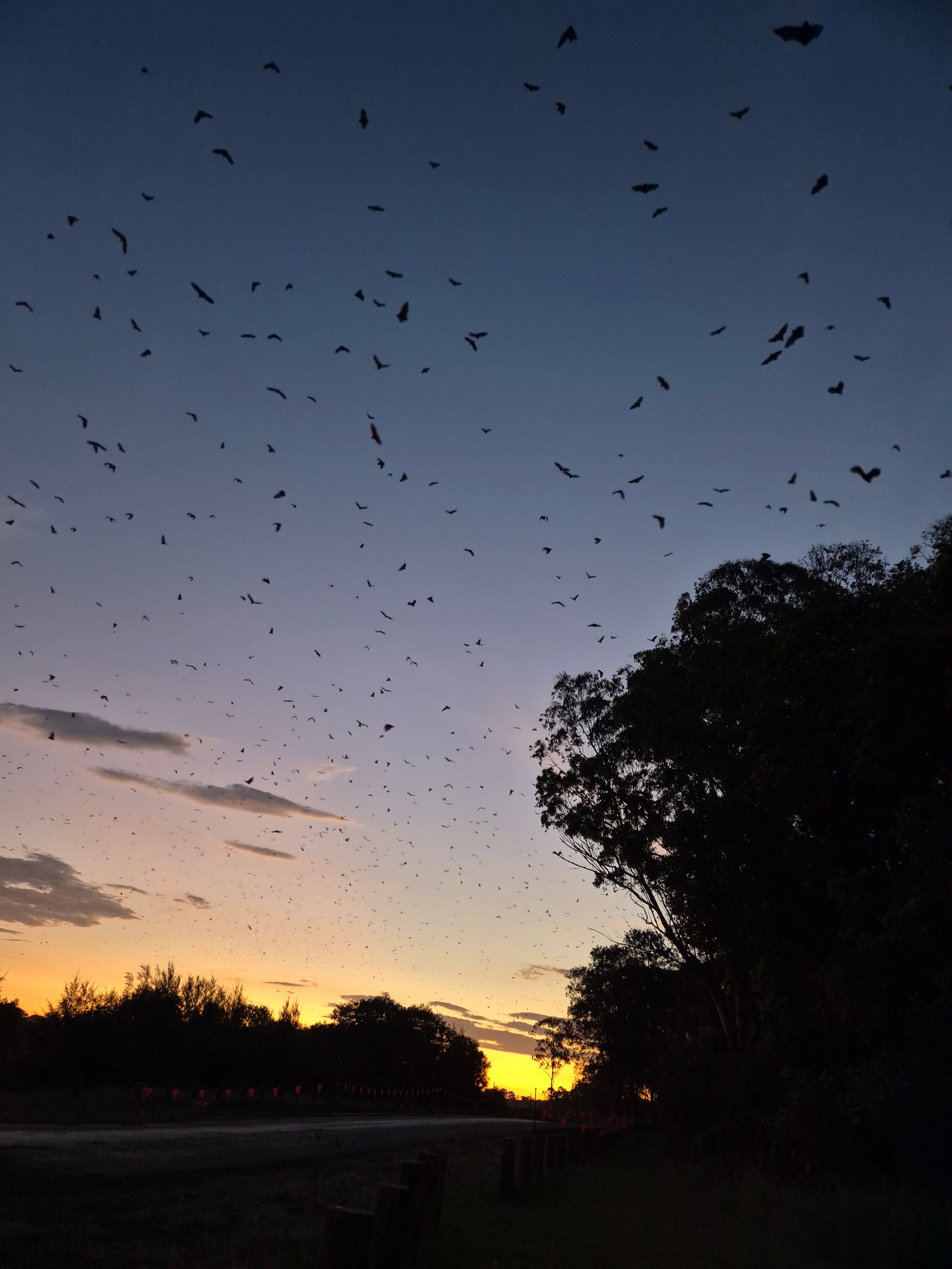 Wingham Riverside Reserve - Image 3