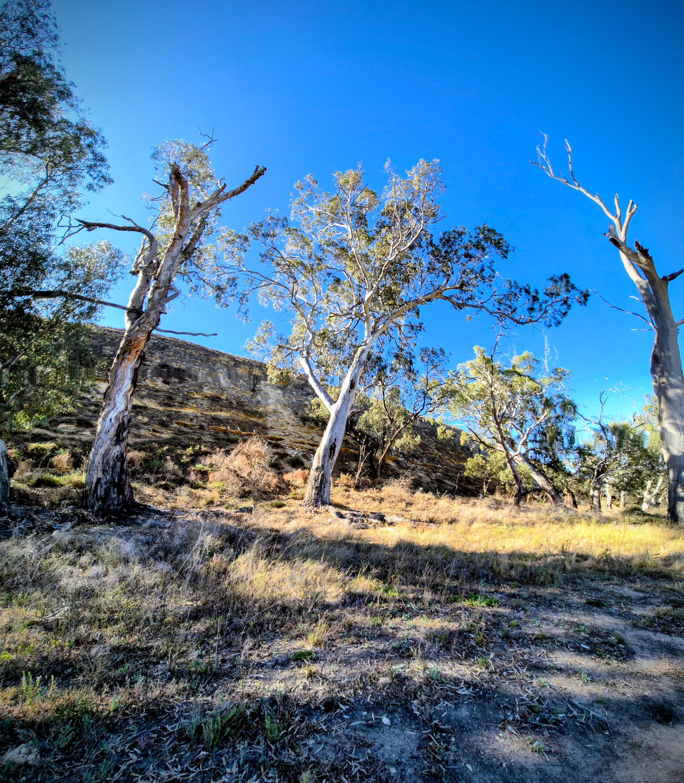 Heron Bend - Overland Corner Conservation Reserve - Image 2