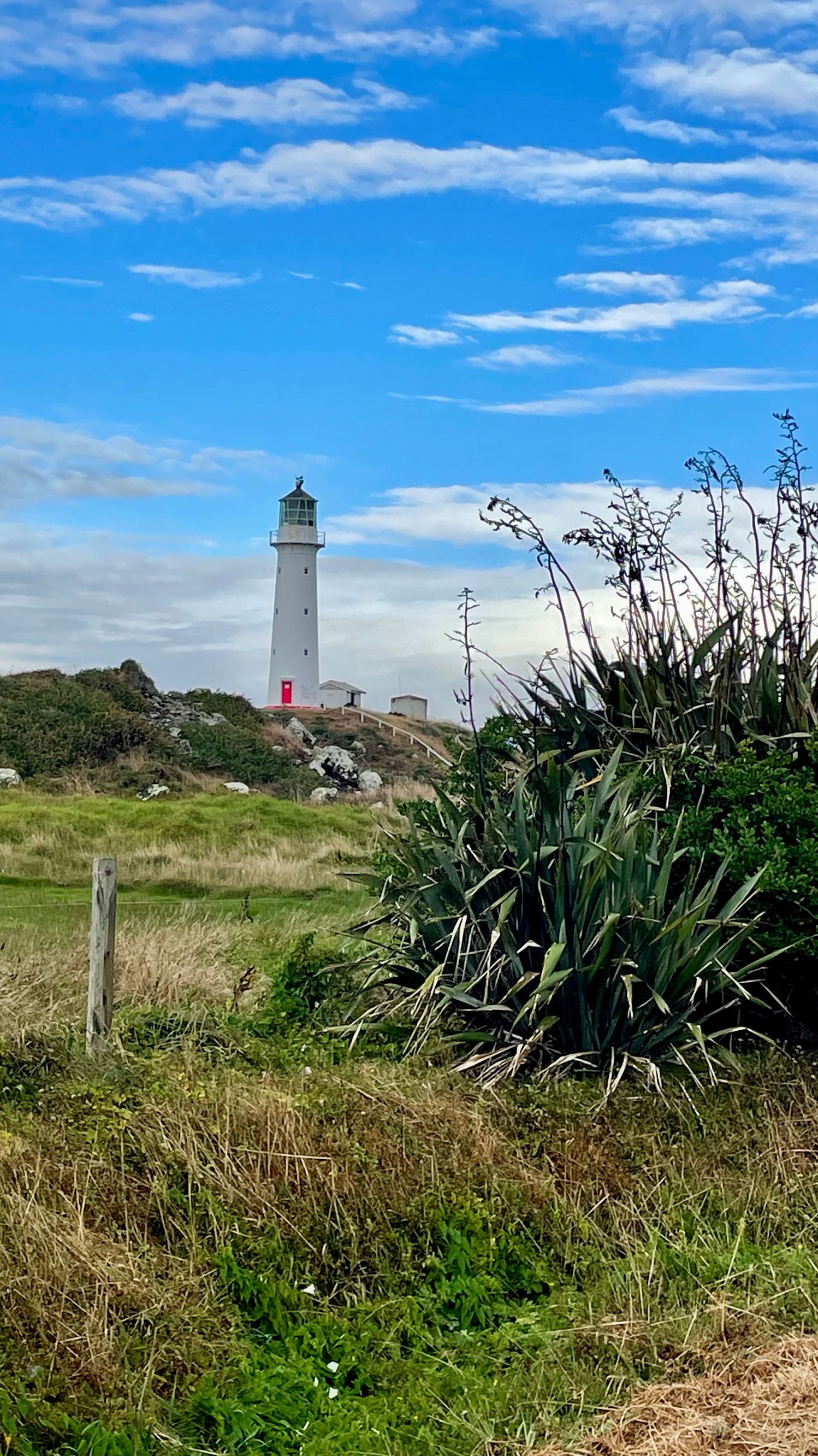 Cape Egmont Lighthouse - Image 2