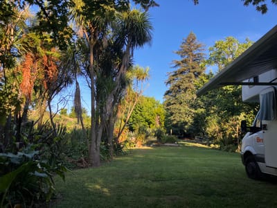 Urban Sanctuary on McNicol