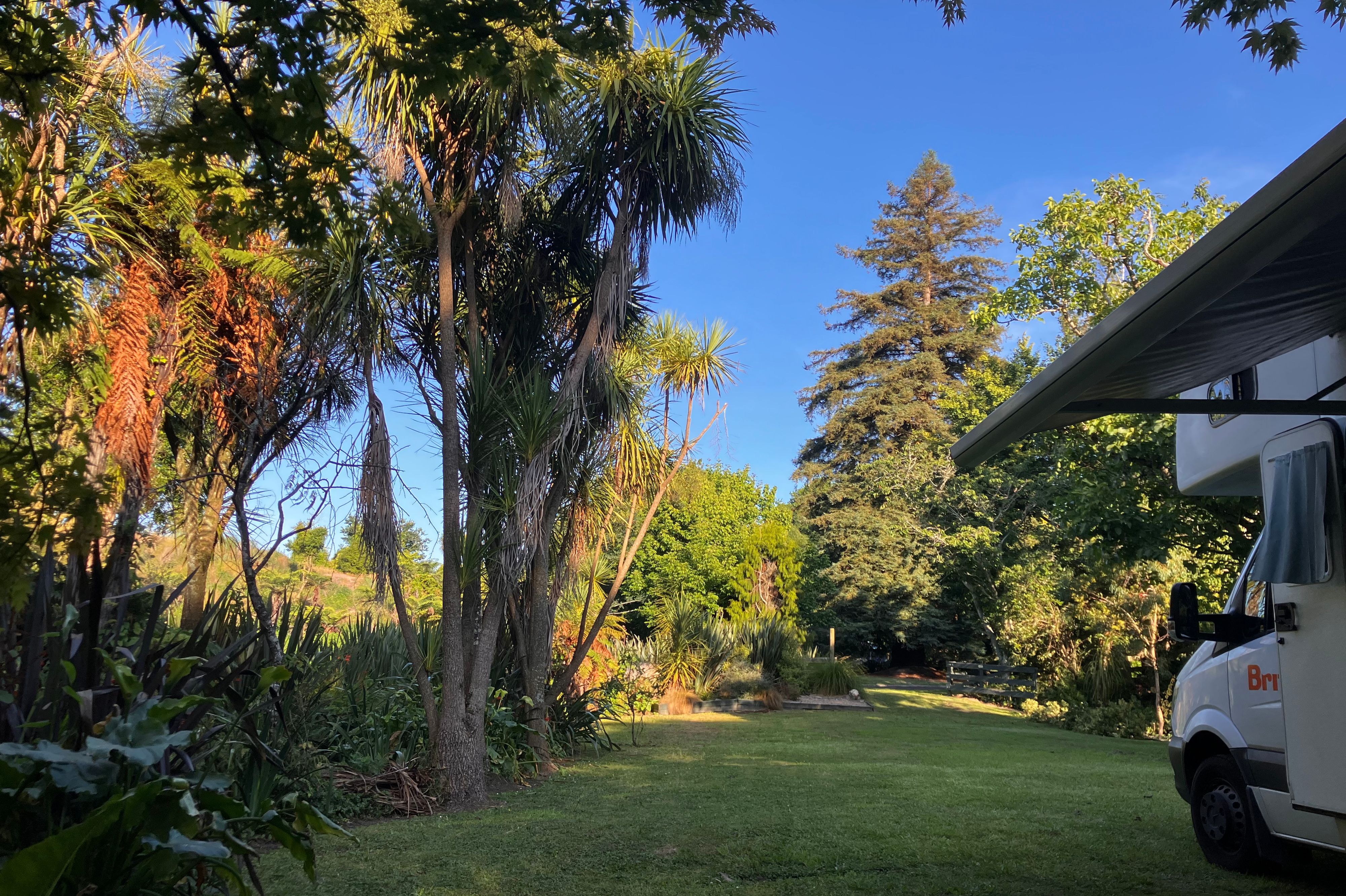 Urban Sanctuary on McNicol