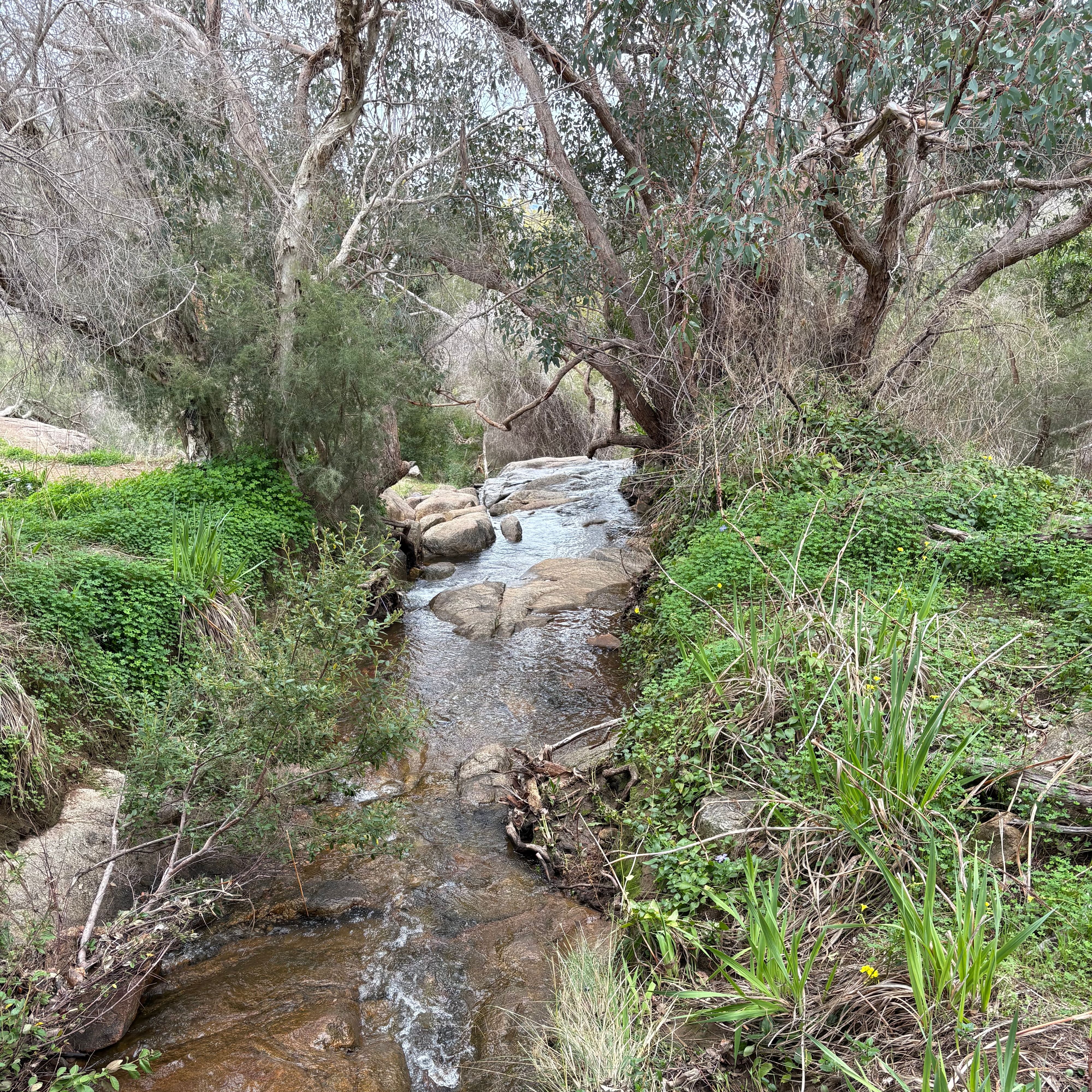 Thông tin Whilstepipe Gully Trail - Image 2